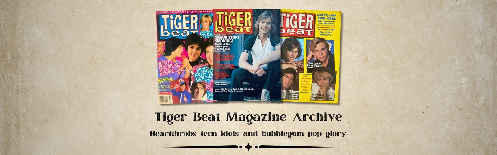Tiger Beat Magazine