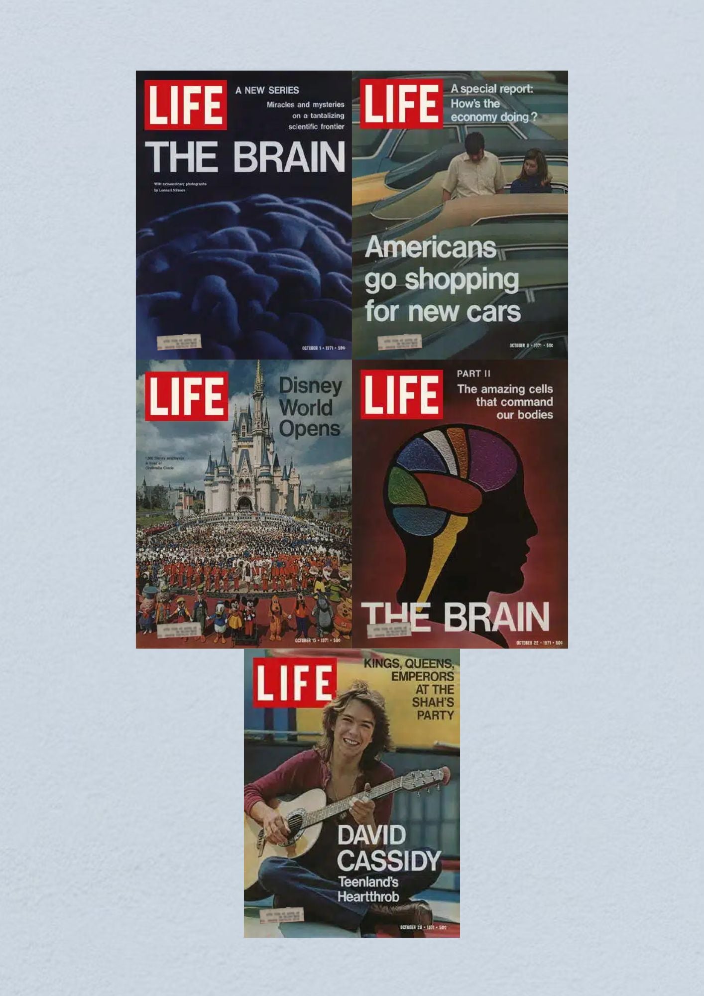 Life Magazine October 29, 1971 cover showcasing David Cassidy, known as Teenland's Heartthrob, highlighting youth culture of the 70s.