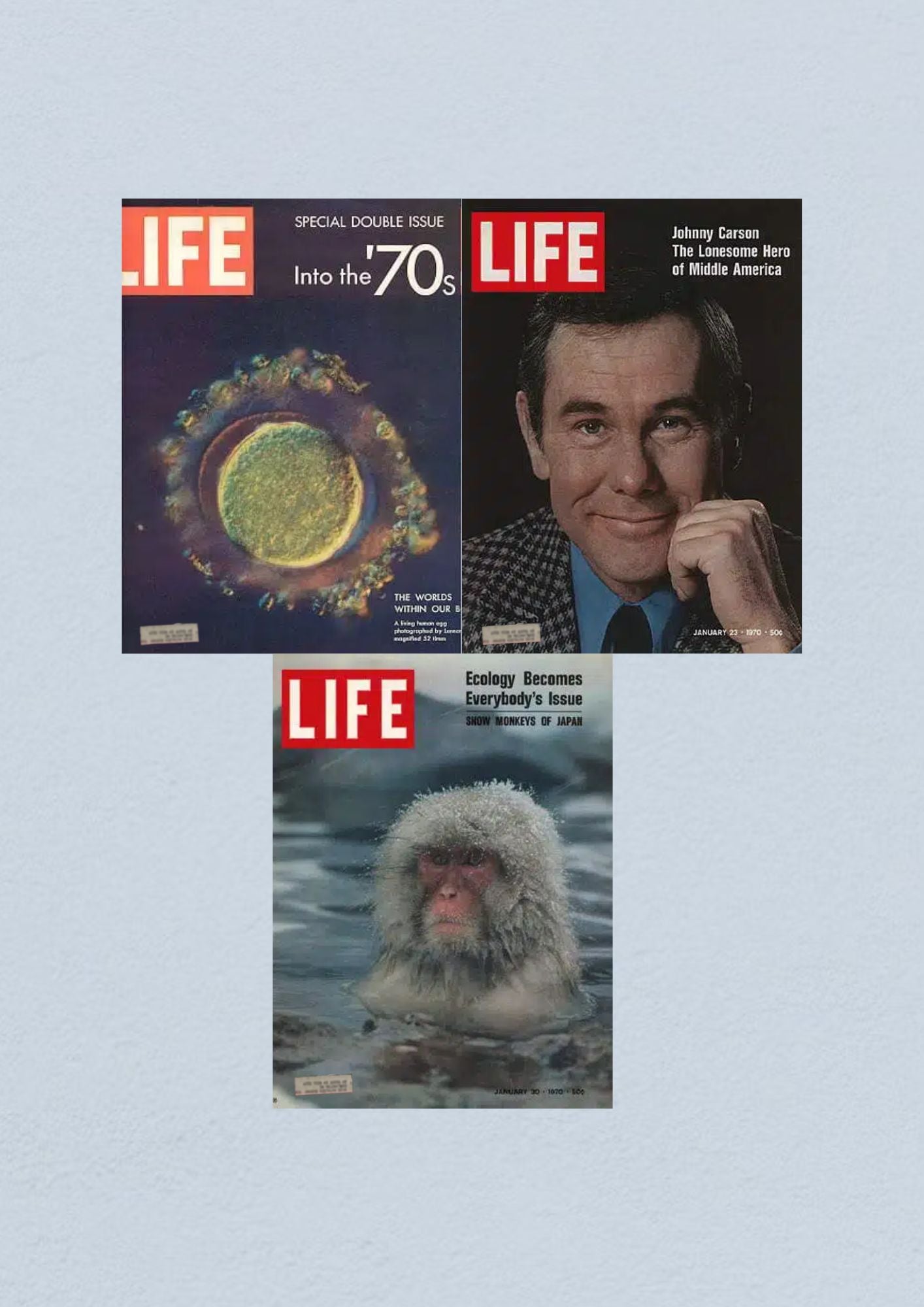 Life Magazine January 30, 1970 Cover focusing on ecology movements and featuring the Snow Monkeys of Japan, emphasizing wildlife stories.