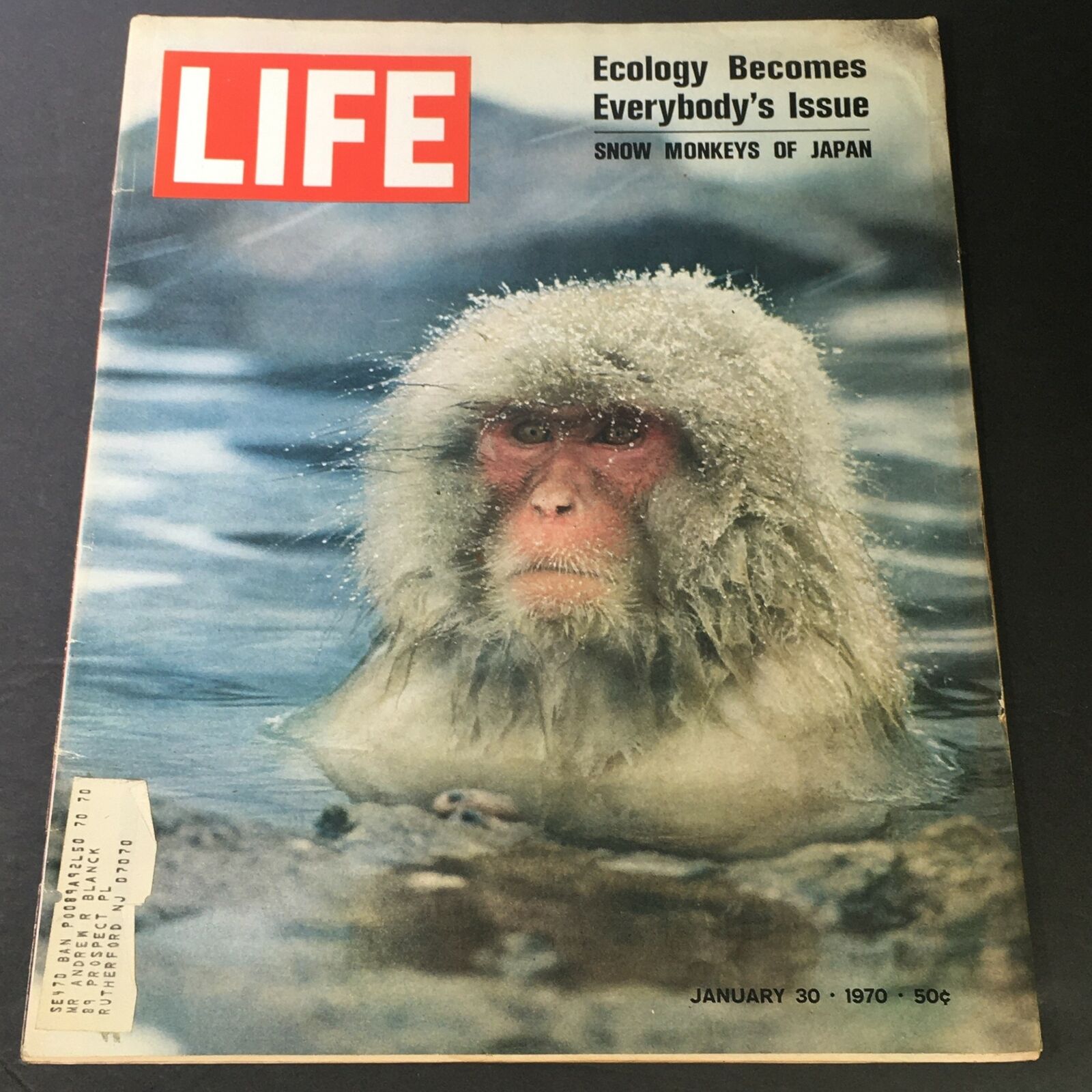 Cover of VTG Life Magazine January 30, 1970, titled 'Ecology Becomes Everybody's Issue' featuring a Japan Snow Monkey surrounded by snow.