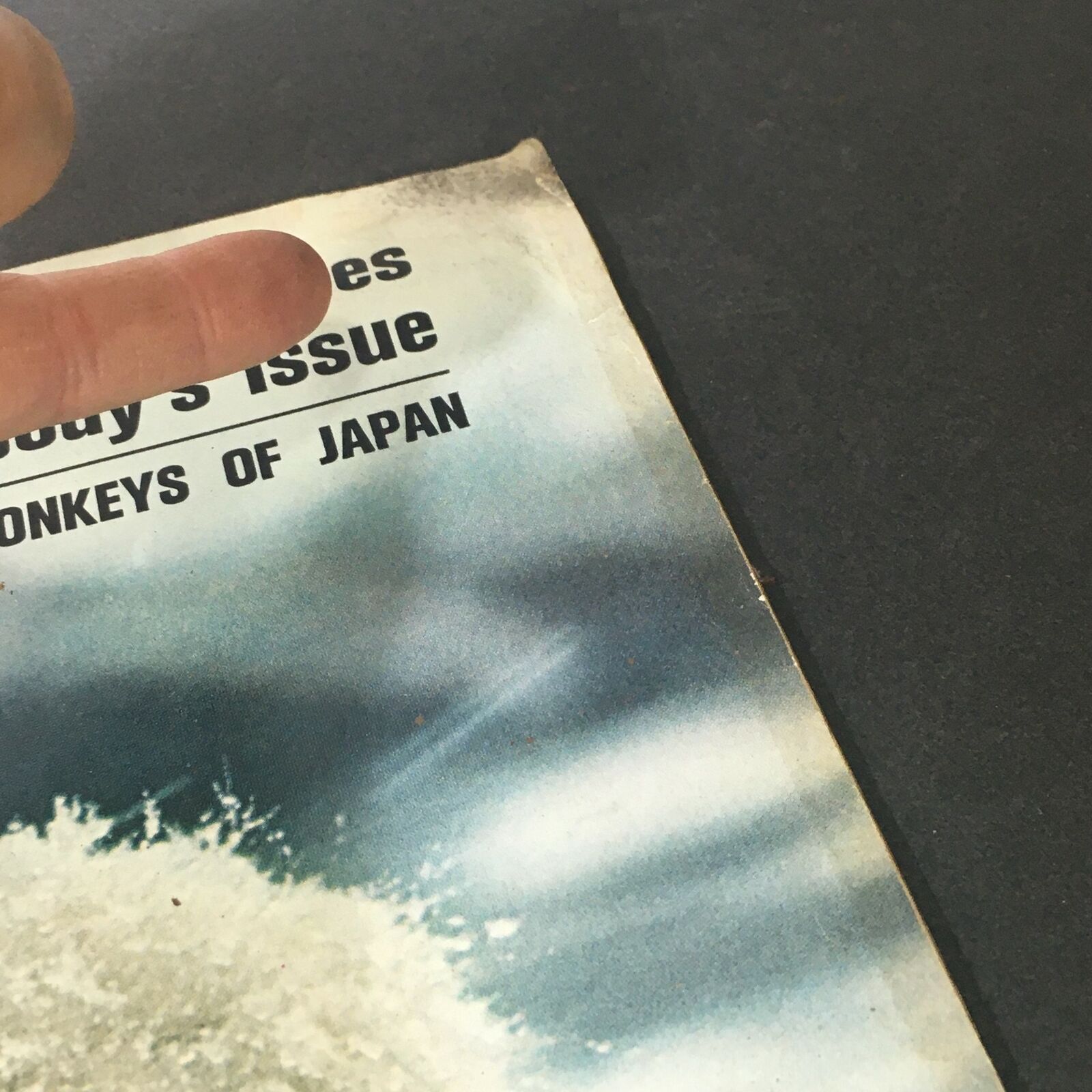 Close-up view of the cover text from VTG Life Magazine January 30, 1970, showing the title 'Ecology Becomes Everybody's Issue' and the feature on Japan Snow Monkeys.