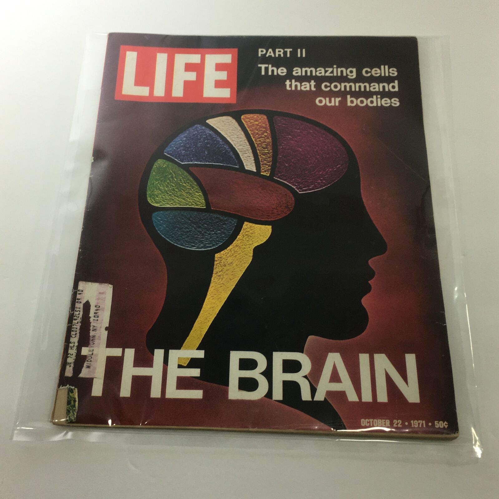 Cover image of VTG Life Magazine: October 22, 1971 featuring Part II - The Brain & The Amazing Cells, showcasing a colorful illustration of a brain against a dark background.