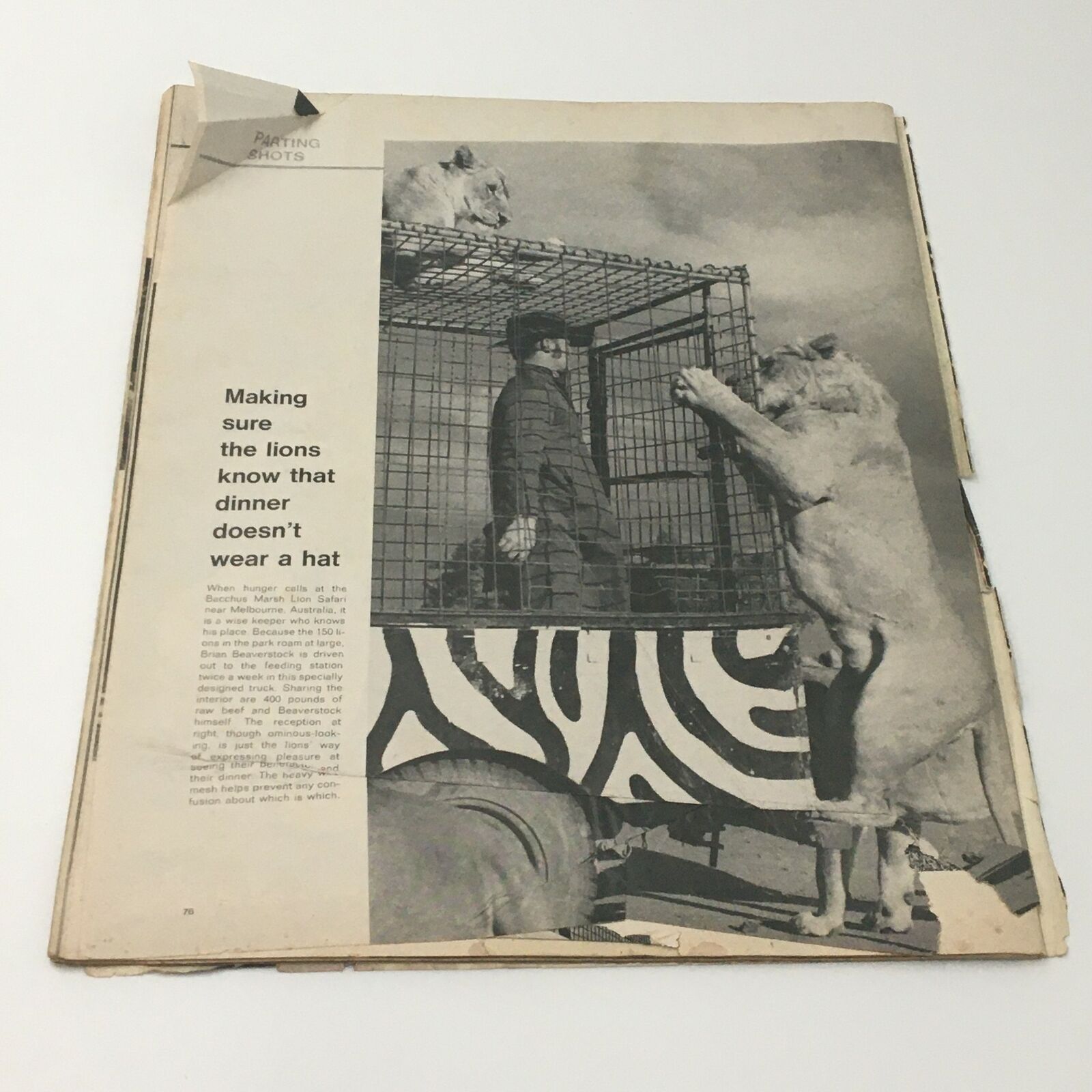 Another interior page from VTG Life Magazine July 14 1972, featuring an article with a striking photograph, demonstrating the cultural relevance of the era.
