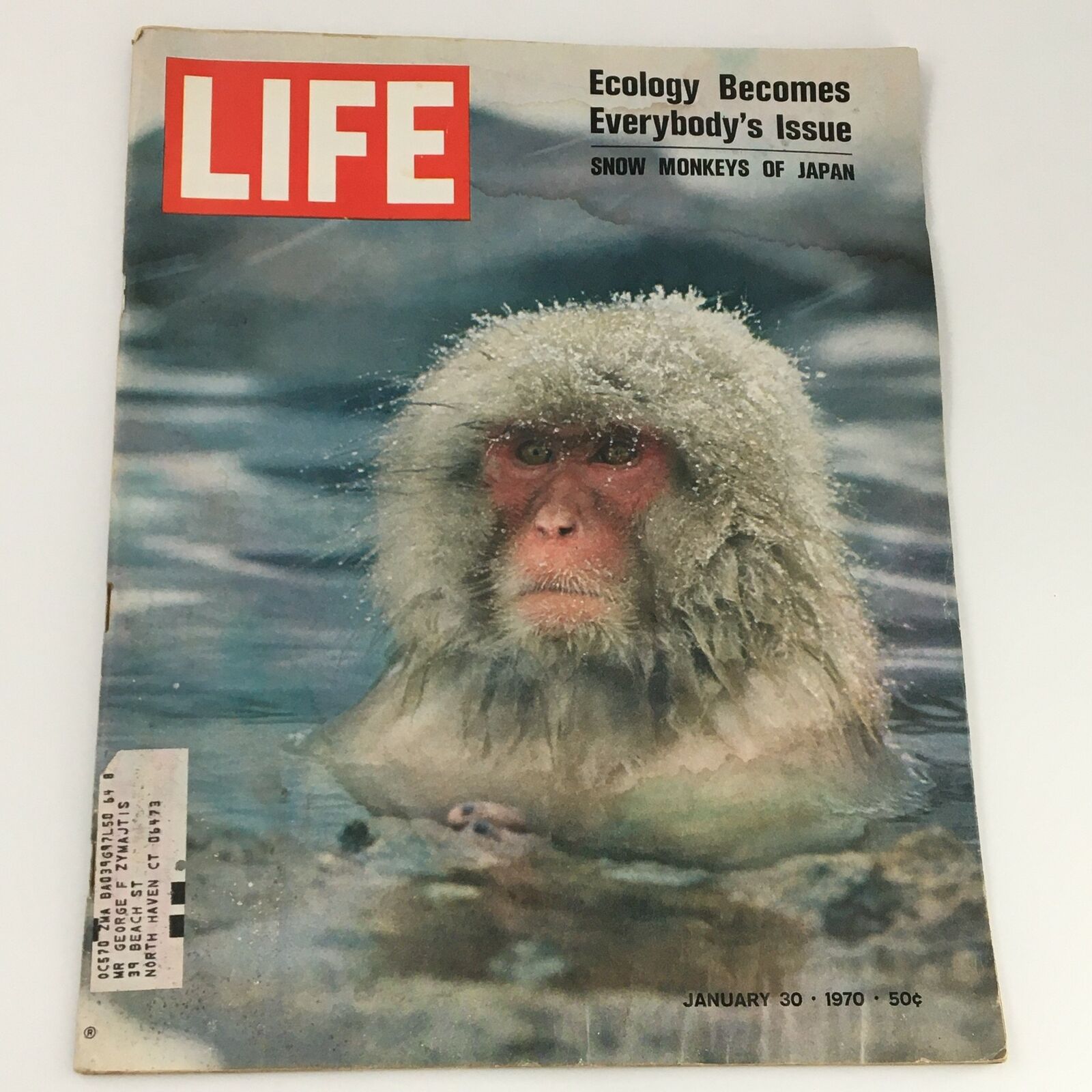 VTG Life Magazine January 30 1970 featuring a photo cover of snow monkeys from Japan, showcasing the unique beauty of these creatures in a natural habitat setting.