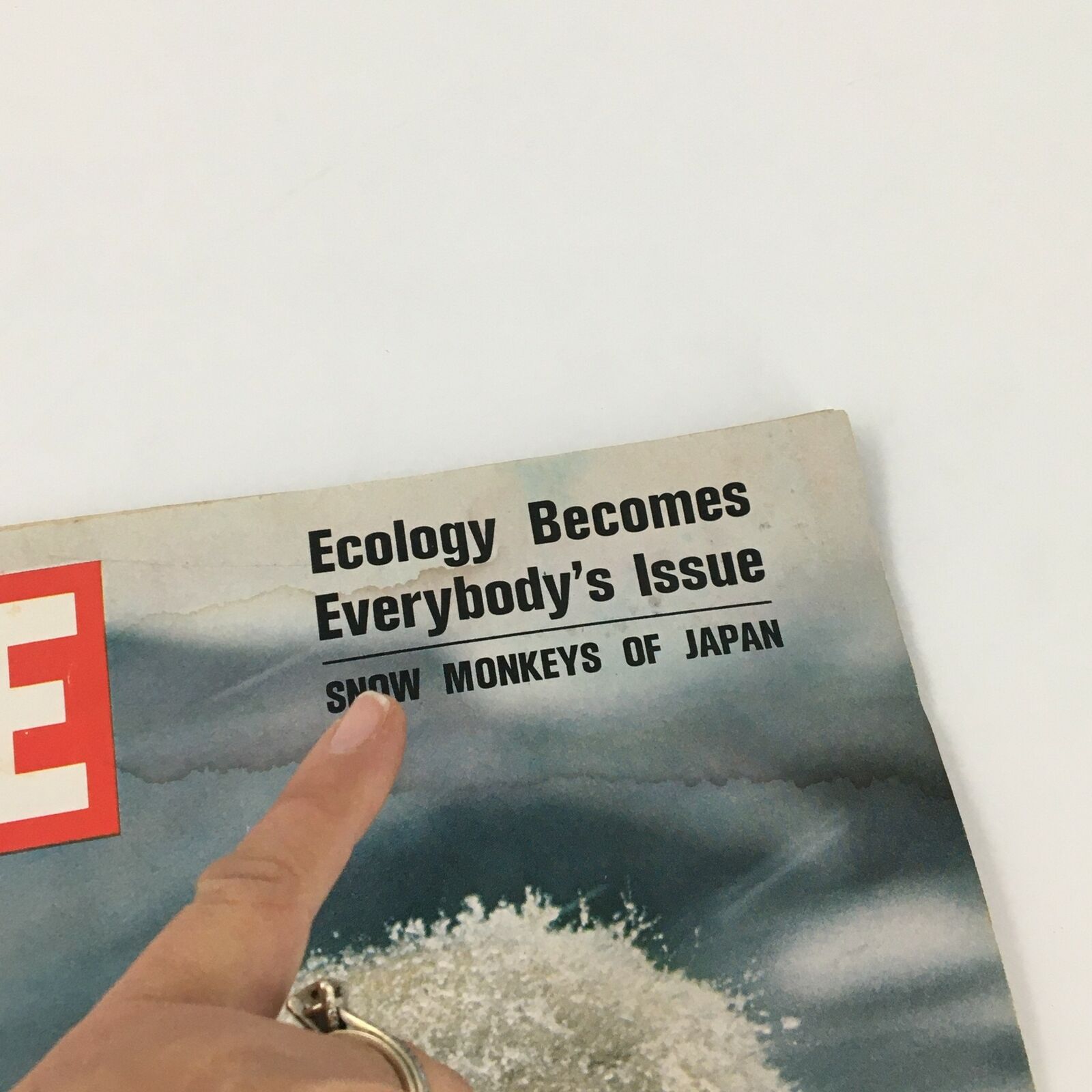 Cover detail of the VTG Life Magazine January 30 1970, featuring the title 'Snow Monkeys of Japan' and 'Ecology Becomes Everybody's Issue'.