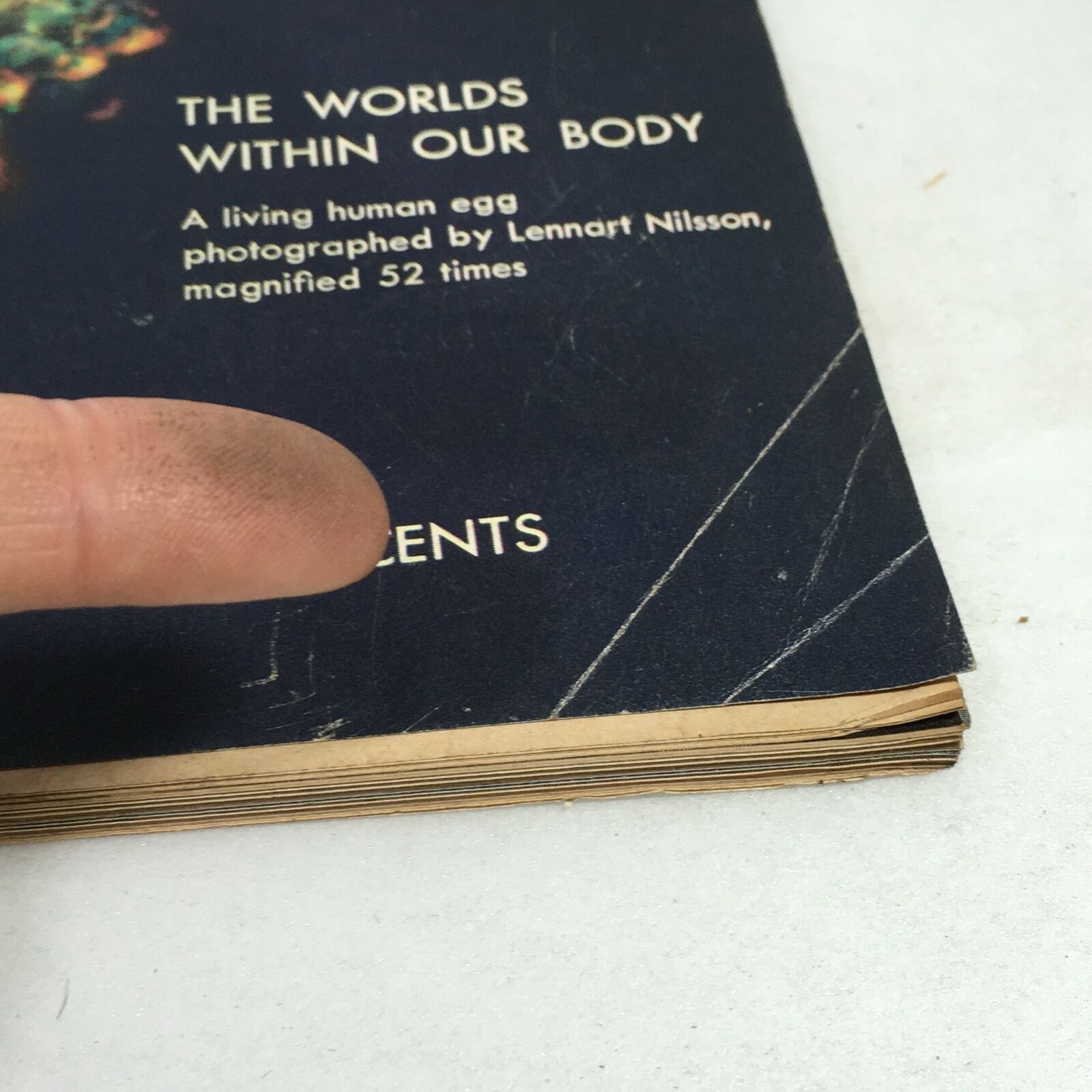 Image capturing the contents section from the back of the VTG Life Magazine January 1970, featuring 'The Worlds Within Our Body' with a description of a living human egg.