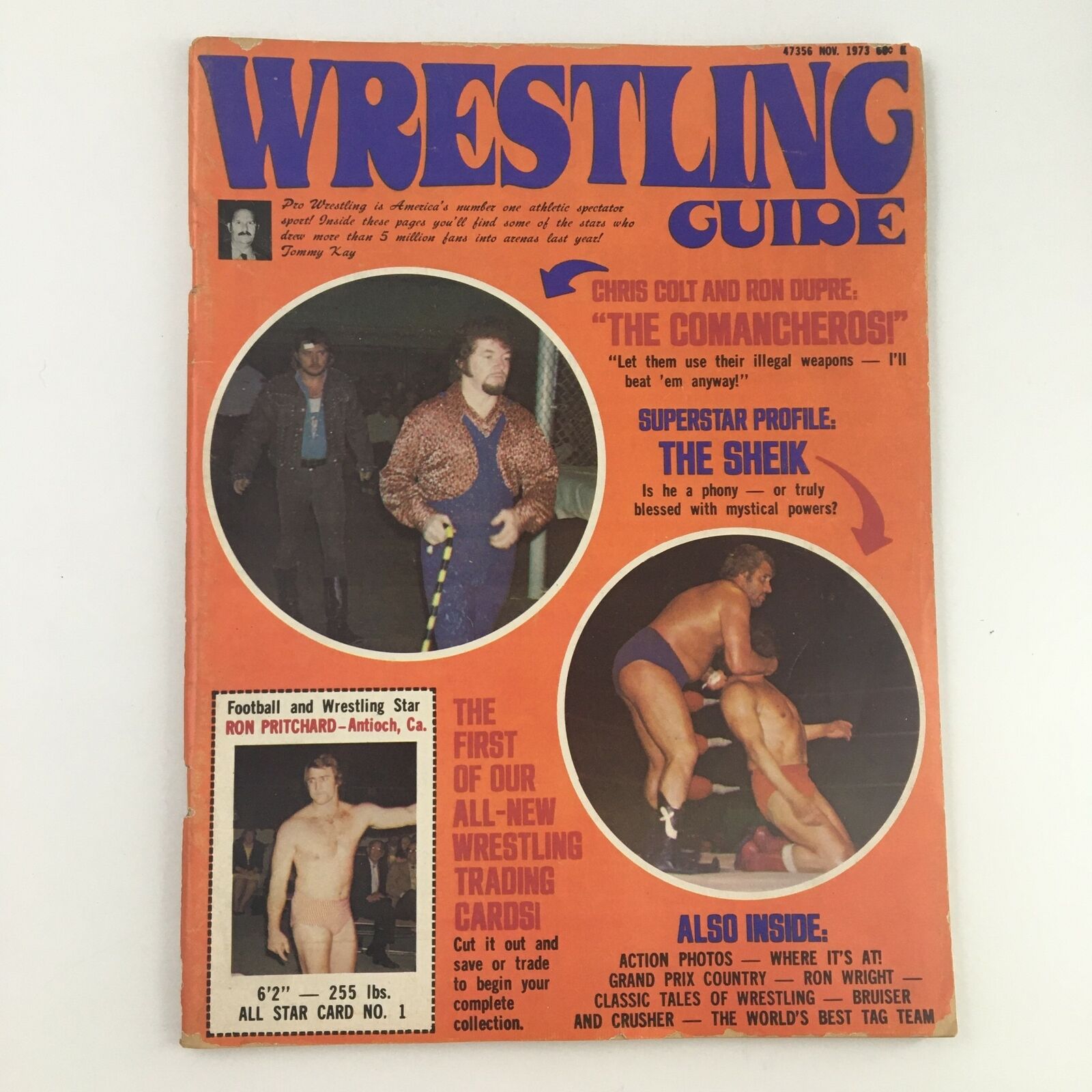 Wrestling Guide Magazine November 1973 cover featuring The Sheik and Ron Pritchard, showcasing vintage wrestling themes and excitement.