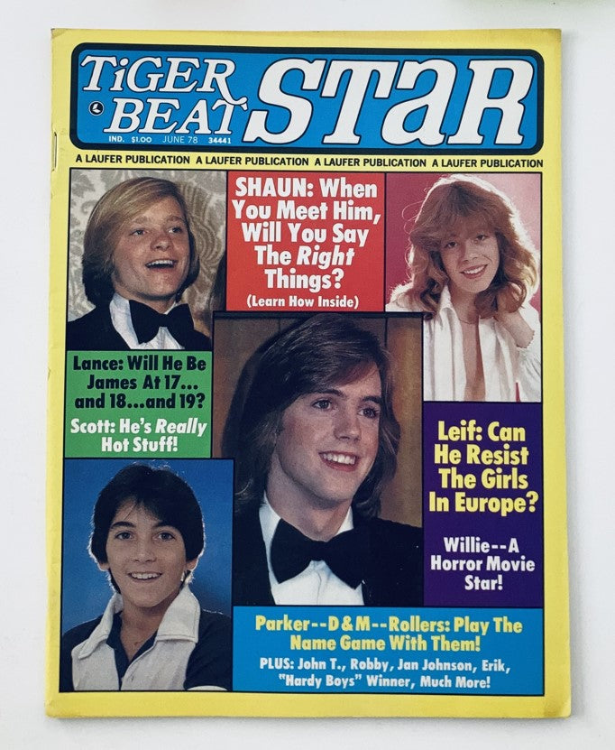 Cover of VTG Tiger Beat Star Magazine June 1978 featuring Shaun Cassidy and Leif Garrett, iconic teen idols of the era, showcasing vibrant colors and nostalgic design.
