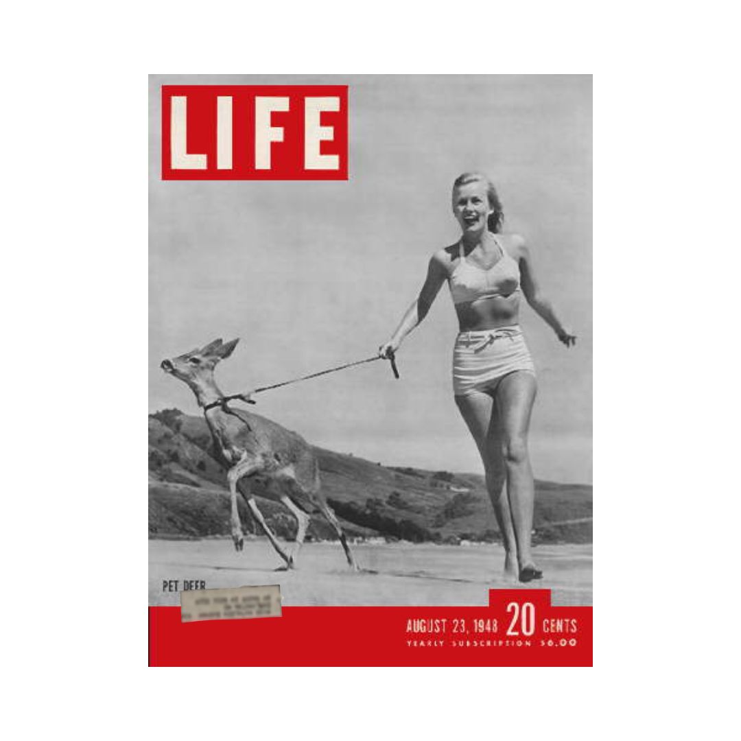 Cover of VTG Life Magazine August 23, 1948, featuring a young woman in a swimsuit walking a pet deer on a beach.