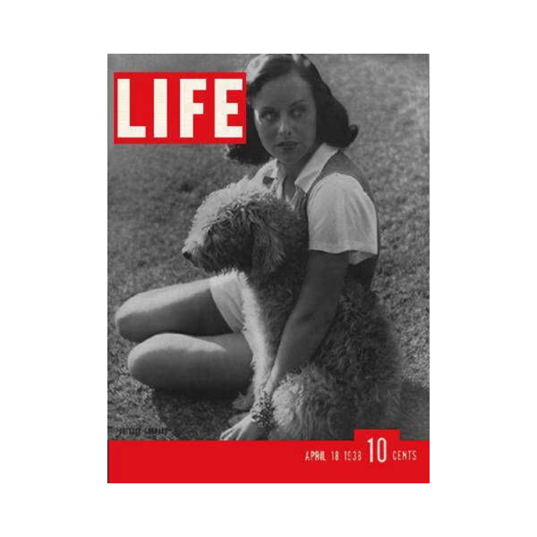Vintage Life Magazine cover from April 18, 1938 featuring actress Paulette Goddard with a dog, showcasing classic Hollywood glamour.