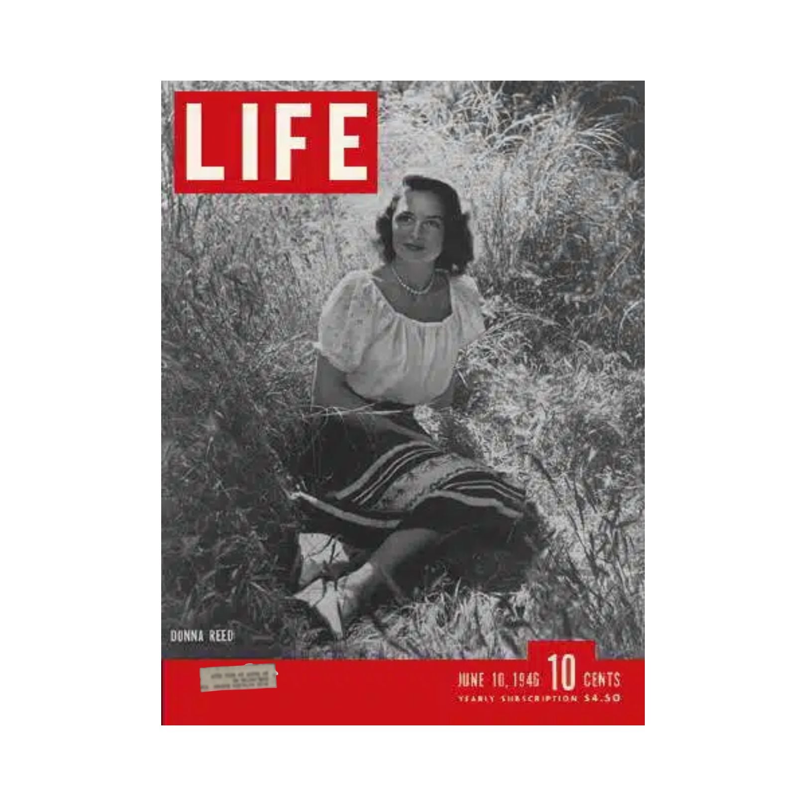 VTG Life Magazine June 10, 1946 cover featuring Donna Reed, American Actress, showcasing her sitting in a natural setting with grass background, emphasizing post-war American culture.