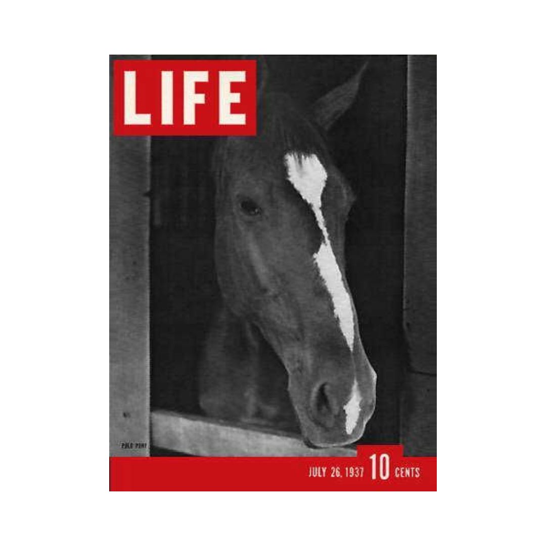 Cover of VTG Life Magazine from July 26, 1937, featuring a close-up of a Polo Horse with the title 'LIFE' prominently displayed.