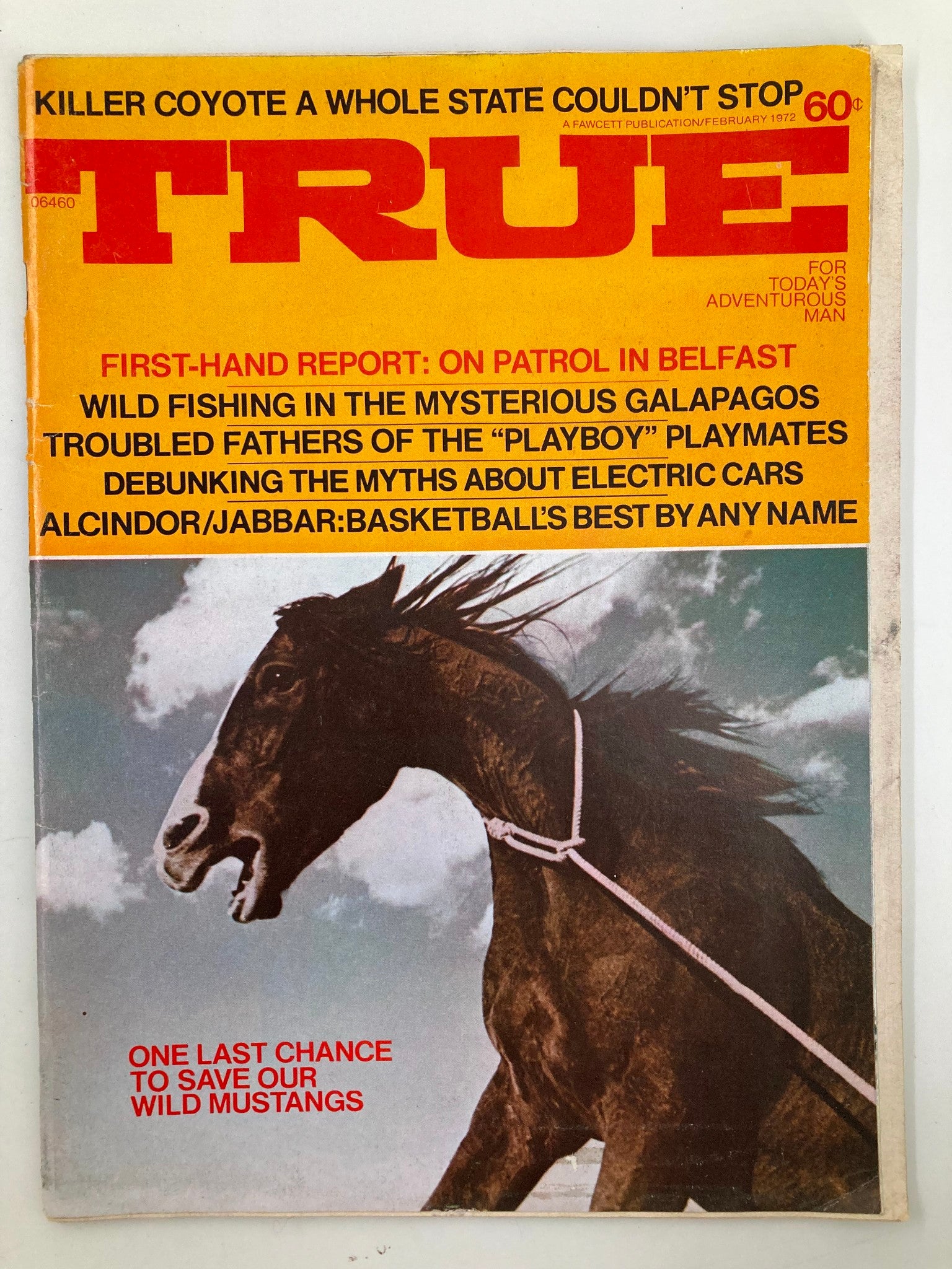 Cover of TRUE The Man's Magazine February 1972 featuring the headline 'Last Chance To Save Our Wild Mustangs' with a striking image of a horse against a cloudy sky, highlighting the importance of wildlife conservation.