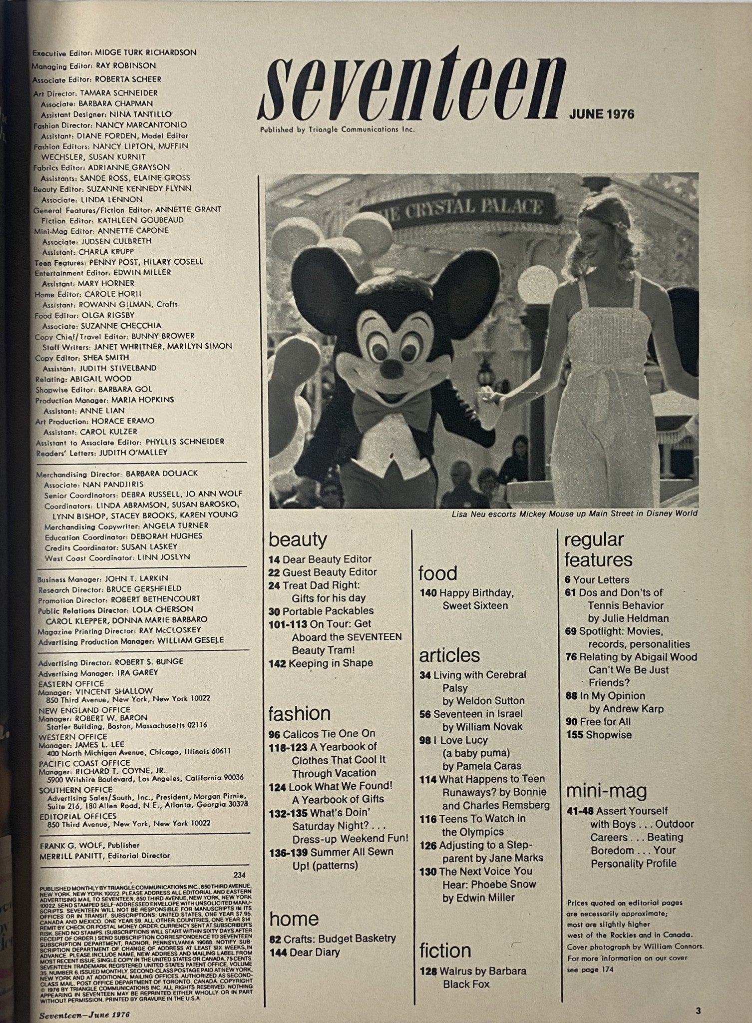 Cover page of Seventeen Magazine June 1976 Summer Beauty Issue featuring a vintage illustration with a character resembling a mouse and a model in a stylish outfit. Highlights fashion and beauty tips from the mid-1970s.