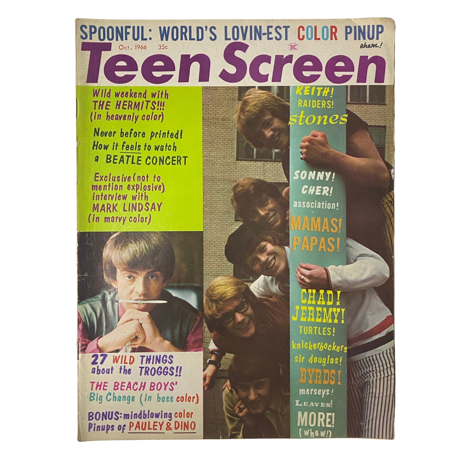 Teen Screen Magazine October 1966 cover featuring The Beach Boys with a colorful pin-up, including articles on notable 1960s artists such as The Beatles and Herman's Hermits.