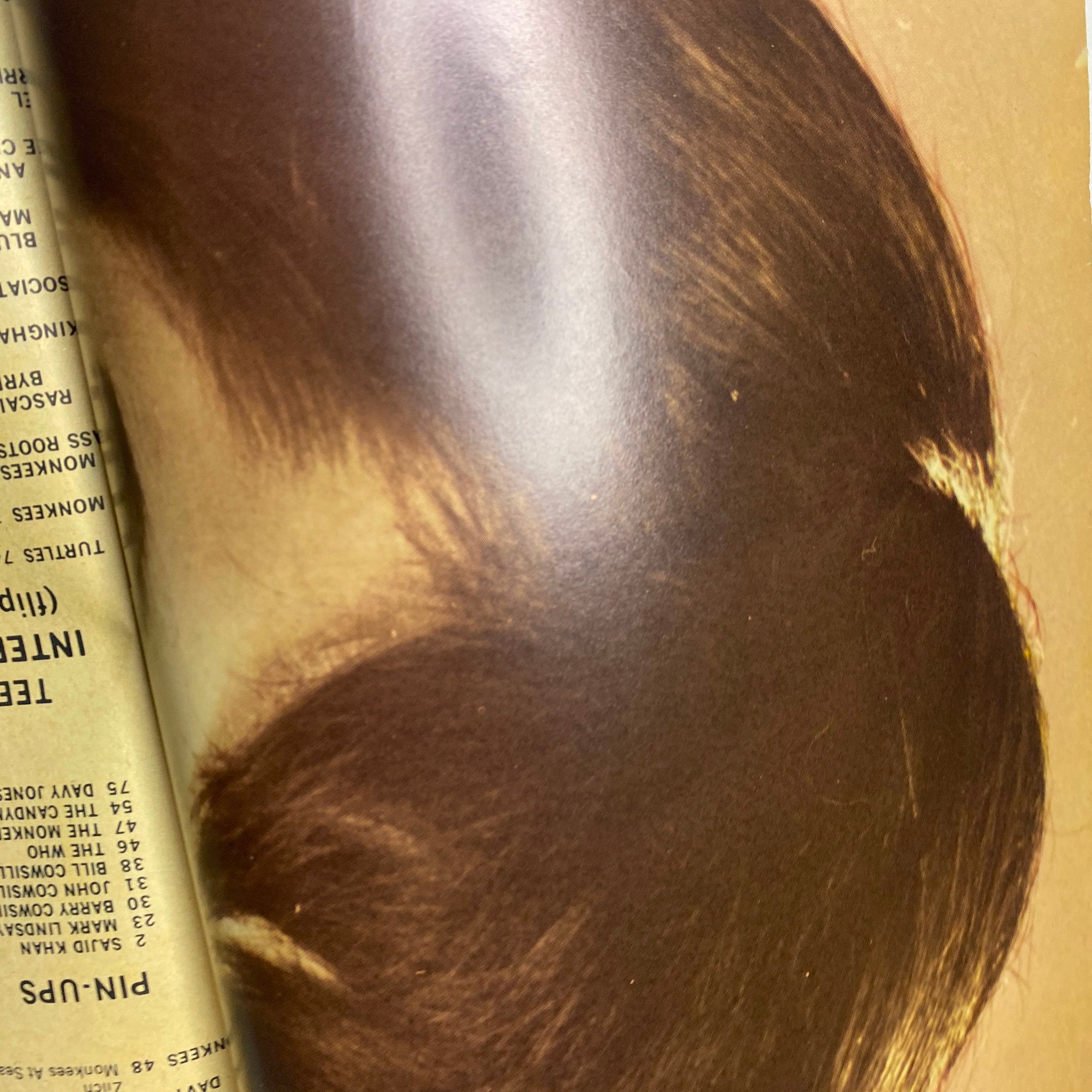 Close-up view of an interior page from Teen Date Book Magazine March 1968, highlighting the layout of pin-ups and Teen Interviews.