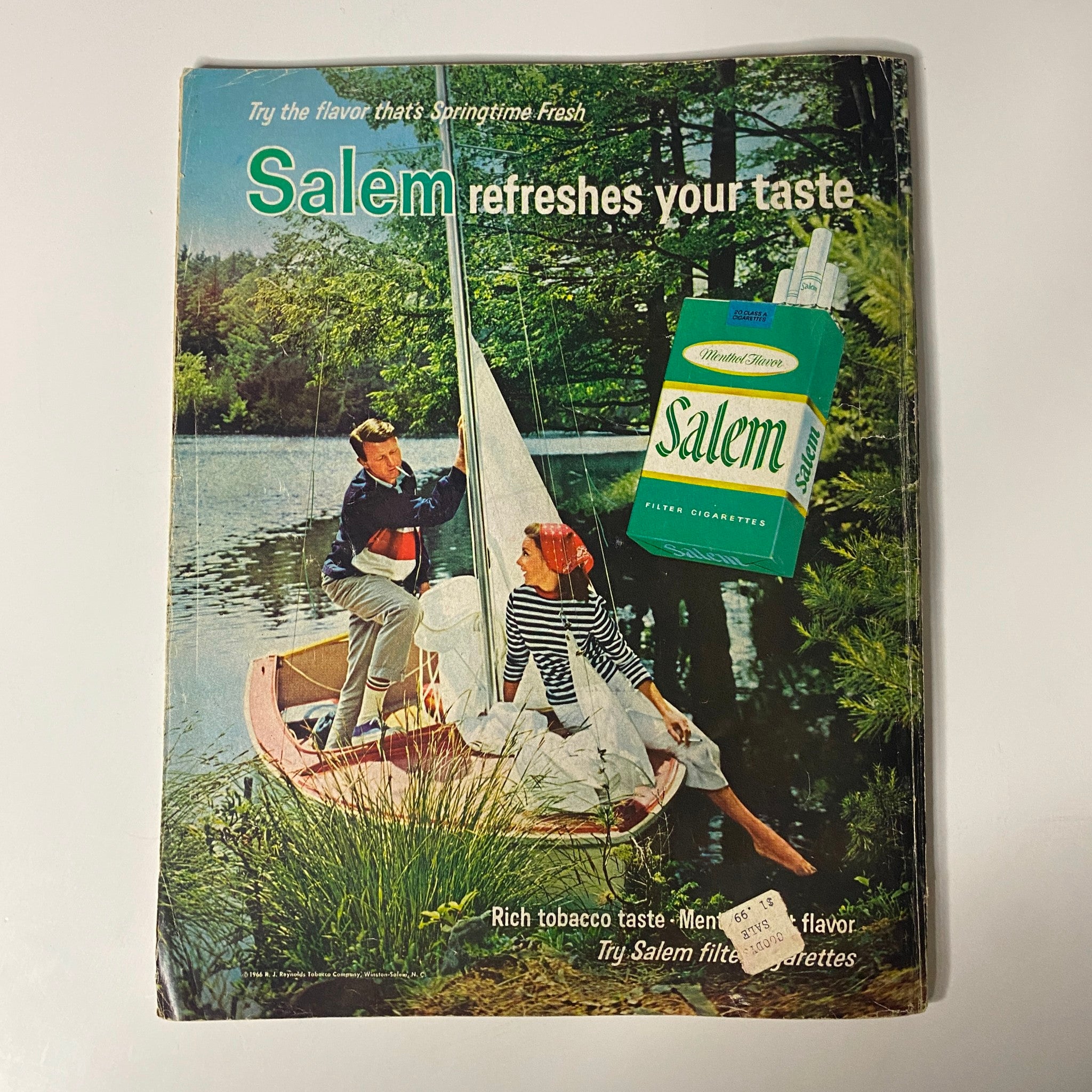 Cover of Photoplay Magazine November 1966 featuring the headline 'Salem Refreshes Your Taste' with a picturesque lakeside scene and a couple enjoying a sailboat, in good condition, collectible for vintage magazine enthusiasts.