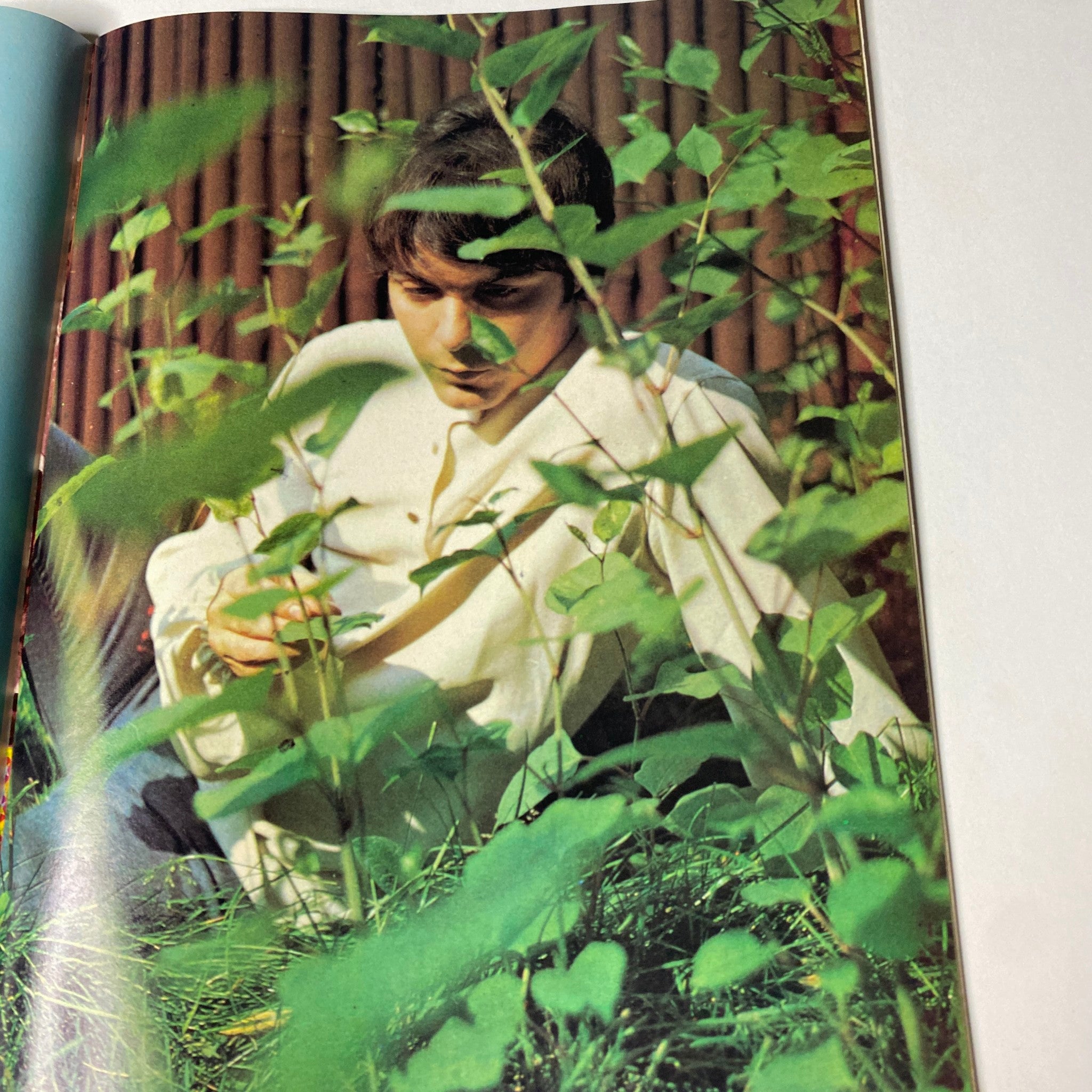 Interior page of Hullabaloo Magazine September 1968 featuring Simon & Garfunkel among greenery, highlighting the artistic photography of the era.