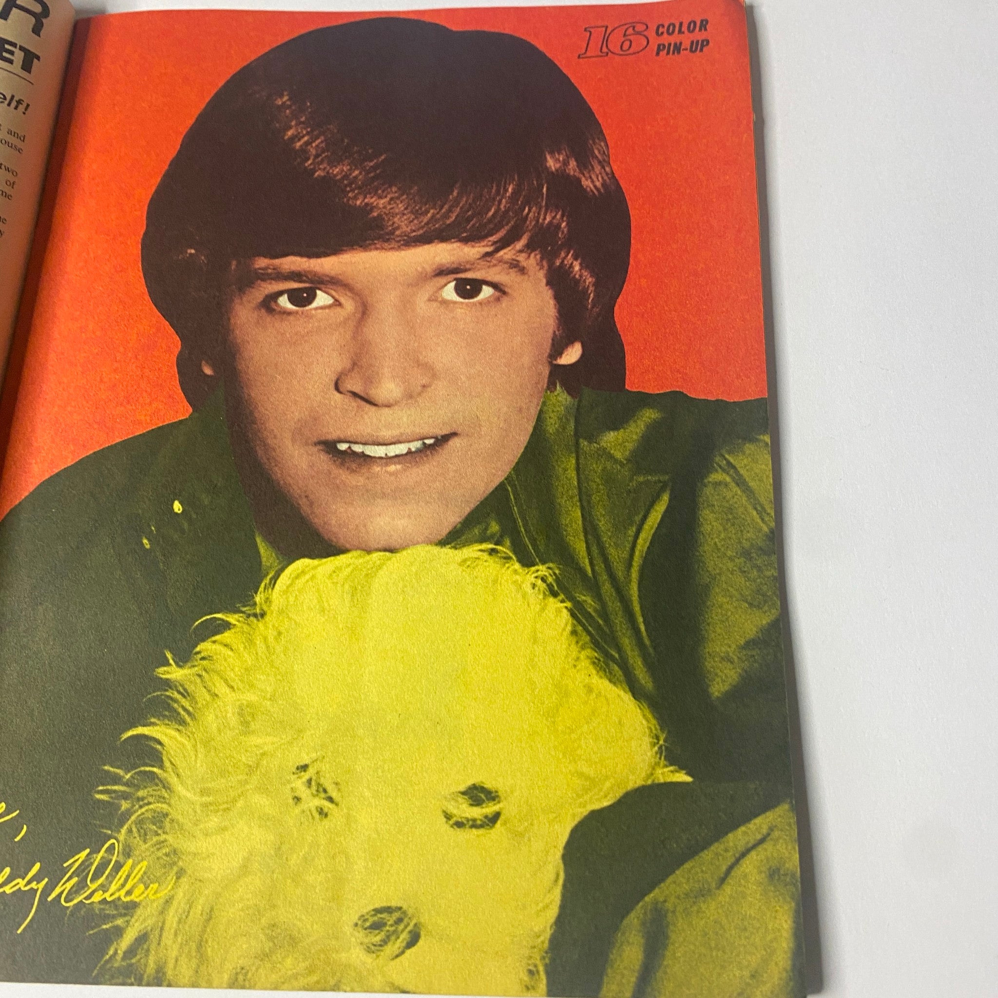 Color pin-up page featuring a young male celebrity from 16 Magazine August 1967 Vol 9 No. 3, highlighting the popularity of teen idols during the era.