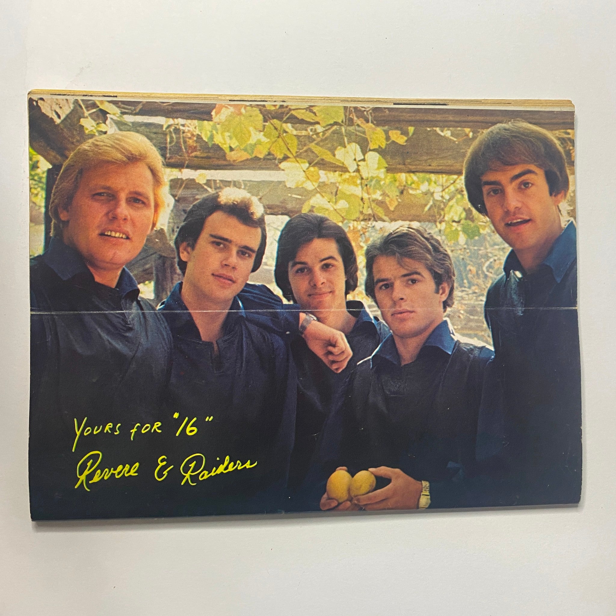 Revere & Raiders band photo from 16 Magazine June 1966, capturing the group's youthful appeal with members posing together, promoting their connection to the teen magazine culture.