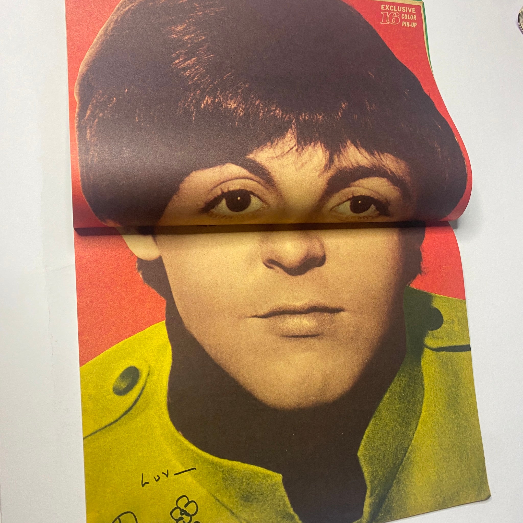Exclusive color pin-up of Paul McCartney from 16 Magazine October 1966 Vol 8 No. 5, focusing on his unique hairstyle and expressive features.