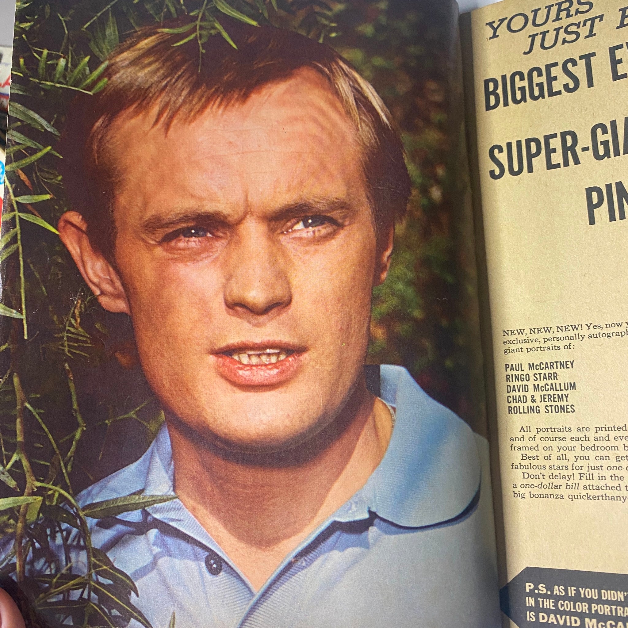 Feature image of David McCallum from 16 Magazine July 1965 Vol. 7 No. 2, showcasing his portrait and a tease about his life in photos.