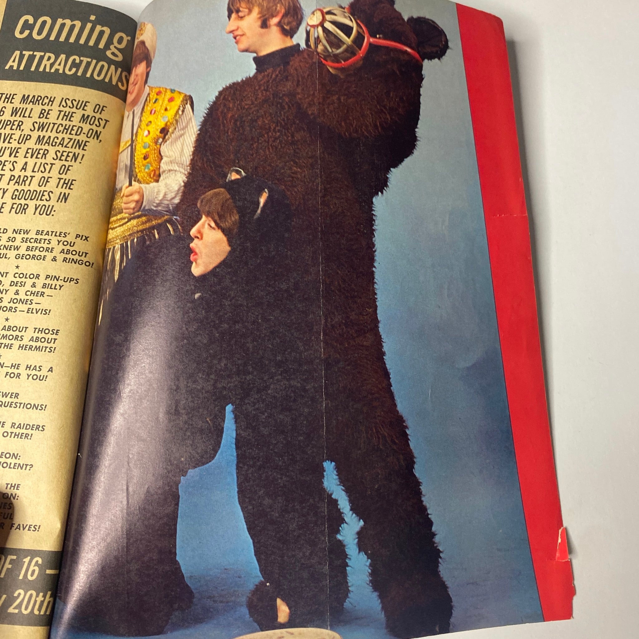 Inside photo from 16 Magazine February 1966 of a Beatle dressed in an elaborate bear costume, emphasizing the playful and creative spirit of 1960s teen magazines.