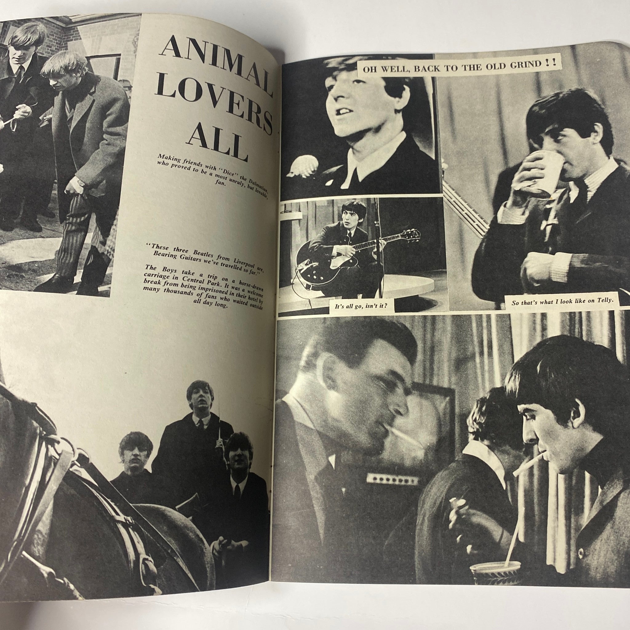 1964 Beatles on Broadway showcasing the 'Animal Lovers All' section with candid images of the Beatles, highlighting their interaction with fans and behind-the-scenes moments.