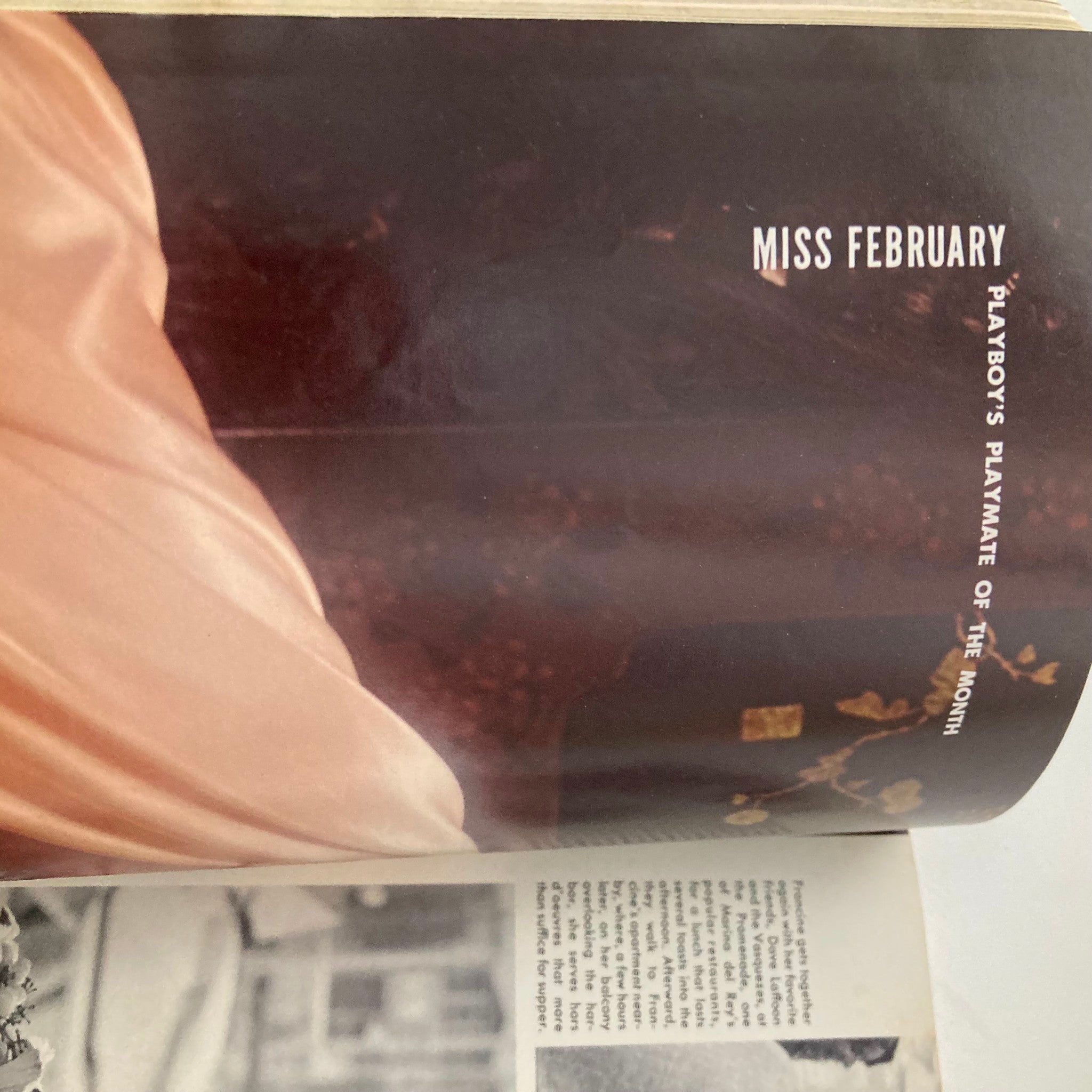 Interior page of the Vintage Playboy Magazine February 1974 showcasing the Playmate of the Month feature, highlighting Francine Parks.