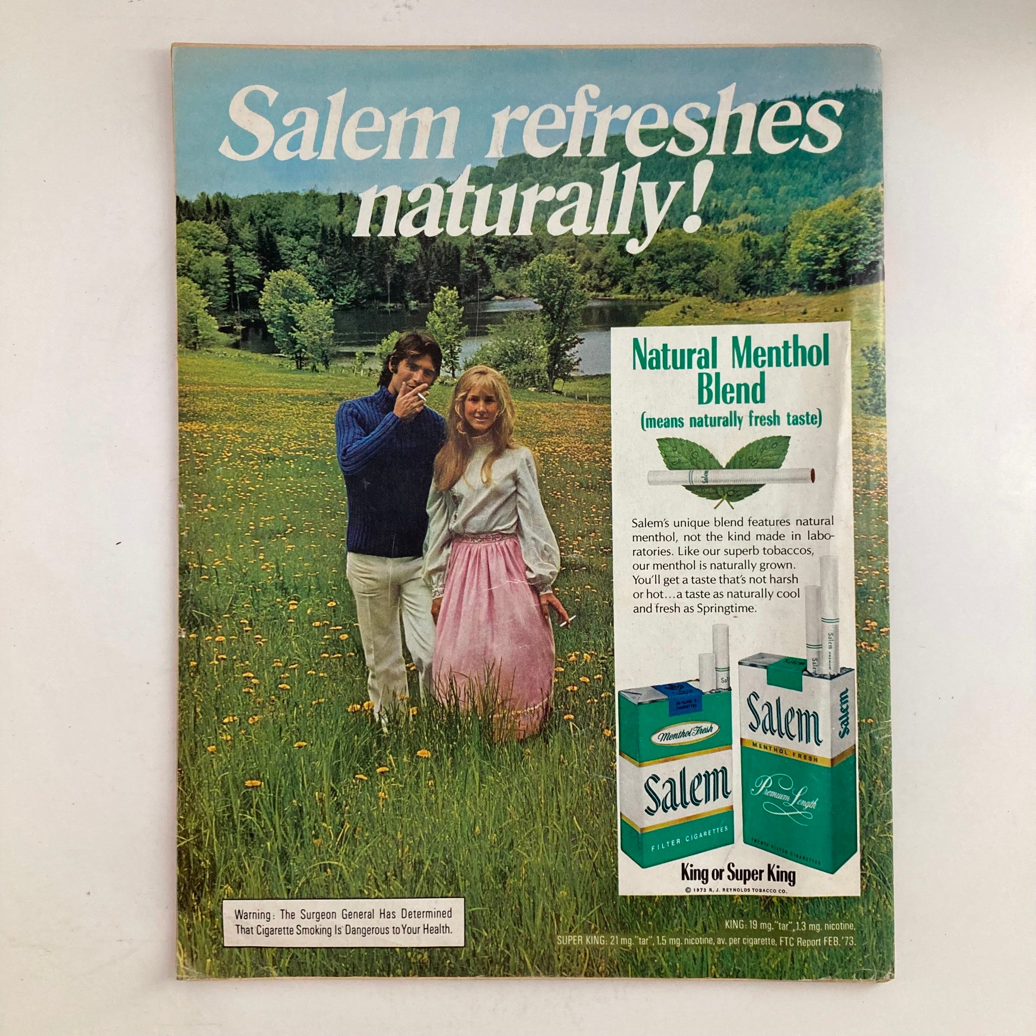 Vintage Salem cigarette advertisement featuring a couple in a lush green field, promoting the natural menthol blend, alongside the title 'VTG Newsweek Magazine August 20 1973 Spiro T. Agnew & Richard Nixon'.