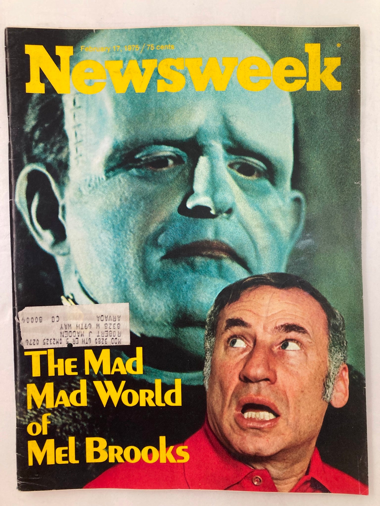 Cover of VTG Newsweek Magazine dated February 17, 1975, featuring an article titled 'The Mad World of Mel Brooks,' showcasing the iconic comedian Mel Brooks in a humorous expression, alongside a prominent character from classic cinema.