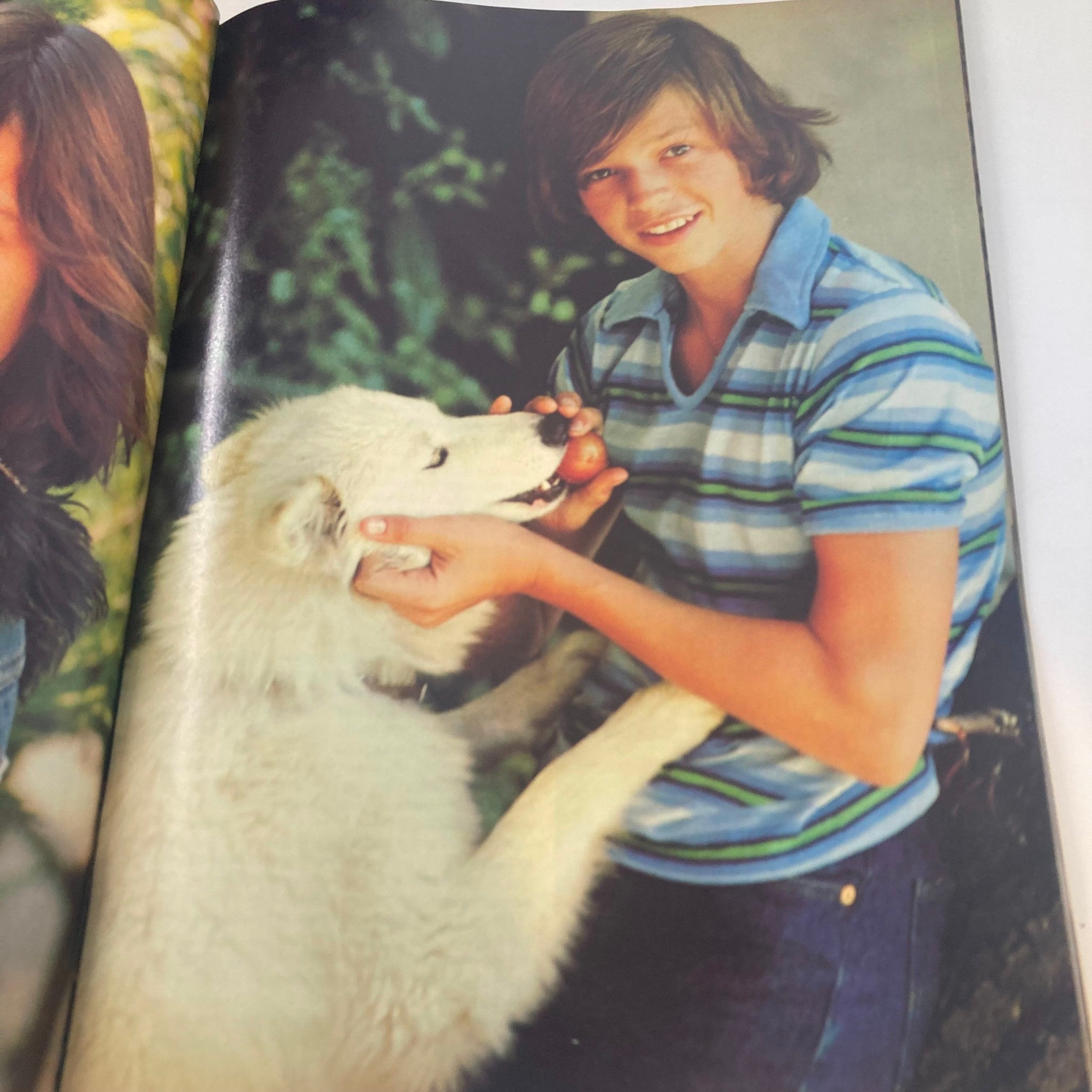 Interior page from VTG Teen Bag Magazine July 1978 displaying a nostalgic photograph of a young boy interacting with a dog, reflecting the carefree spirit of the 1970s.