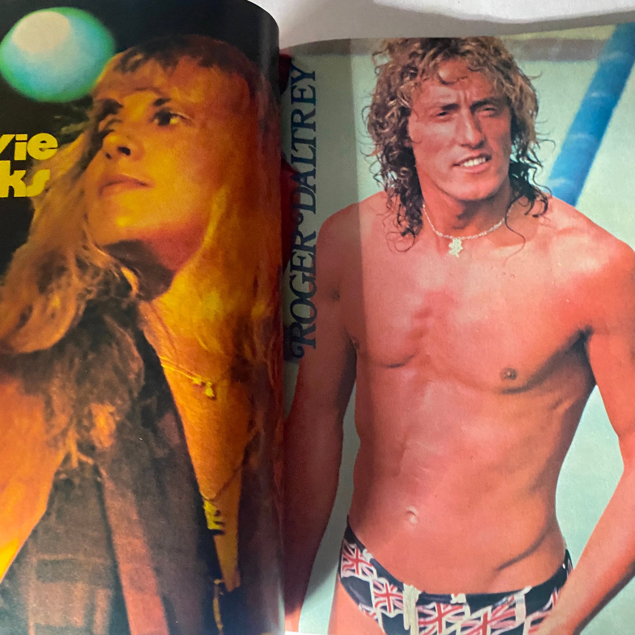 Page from VTG Super Rock Magazine February 1978 featuring profiles of rock stars including Stevie Nicks and Roger Daltrey.