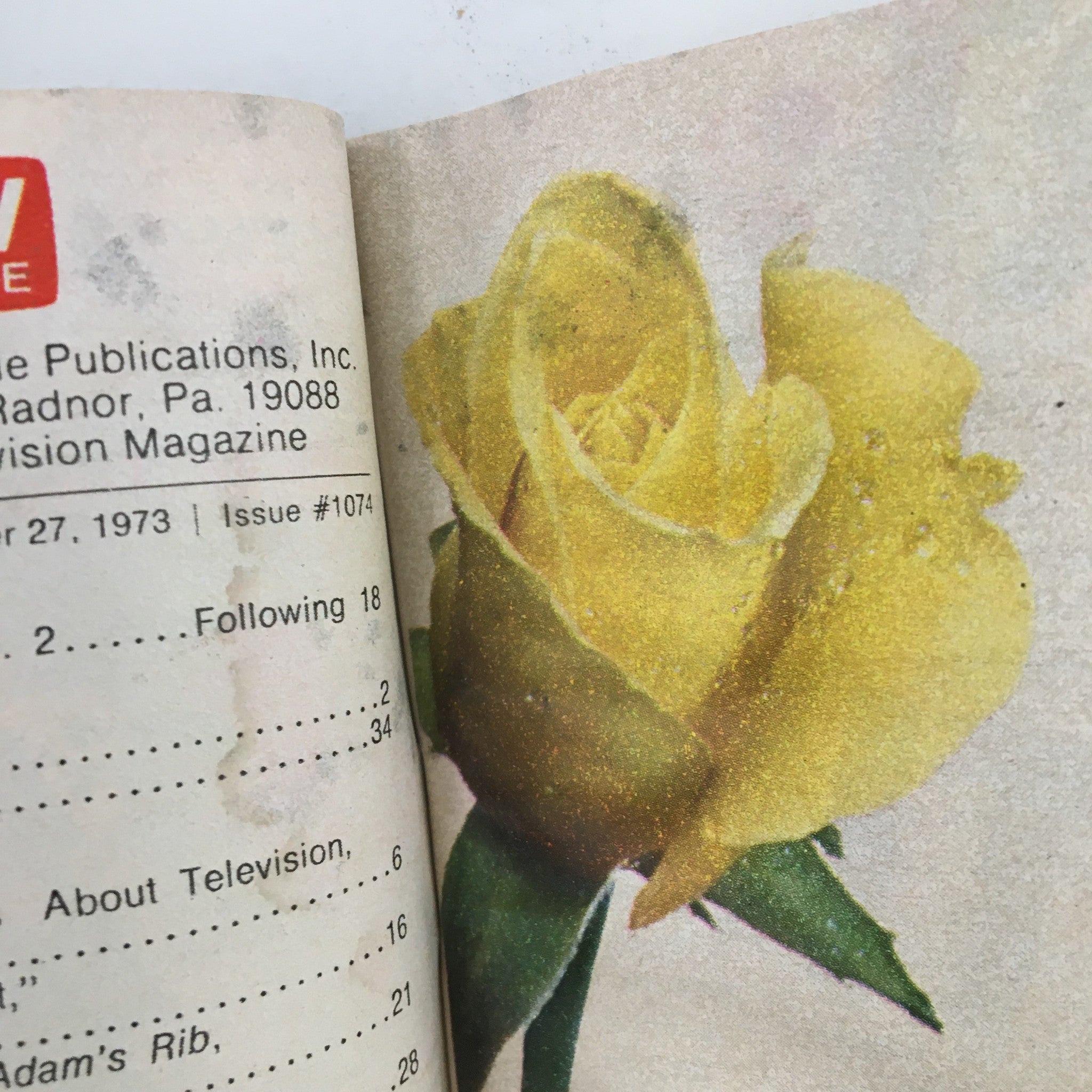 Close-up of a yellow rose featured in the TV Guide Magazine October 27 1973, showcasing the vintage aesthetic of the publication.