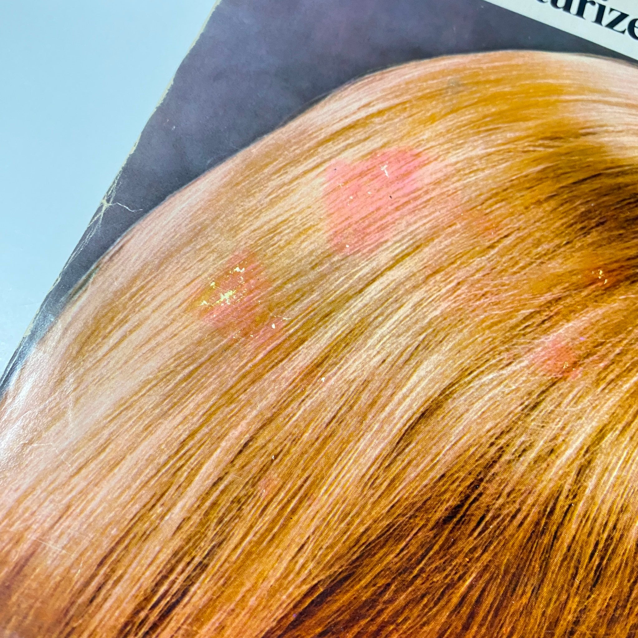 Close-up of a page from Seventeen Magazine March 1969 featuring details of a hair product advertisement, emphasizing hair health and styling options.