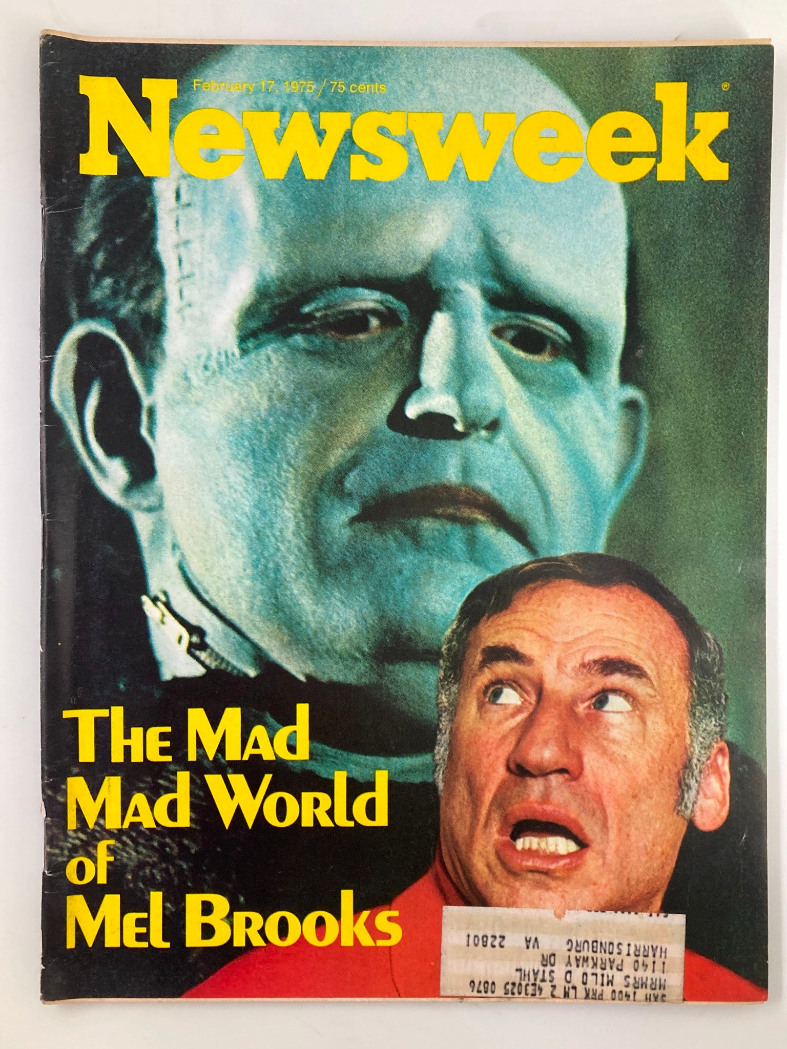 VTG Newsweek Magazine February 17, 1975 featuring 'The Mad Mad World of Mel Brooks' cover image, showcasing a comedic illustration with Mel Brooks and a monster figure, highlighting vintage magazine design.