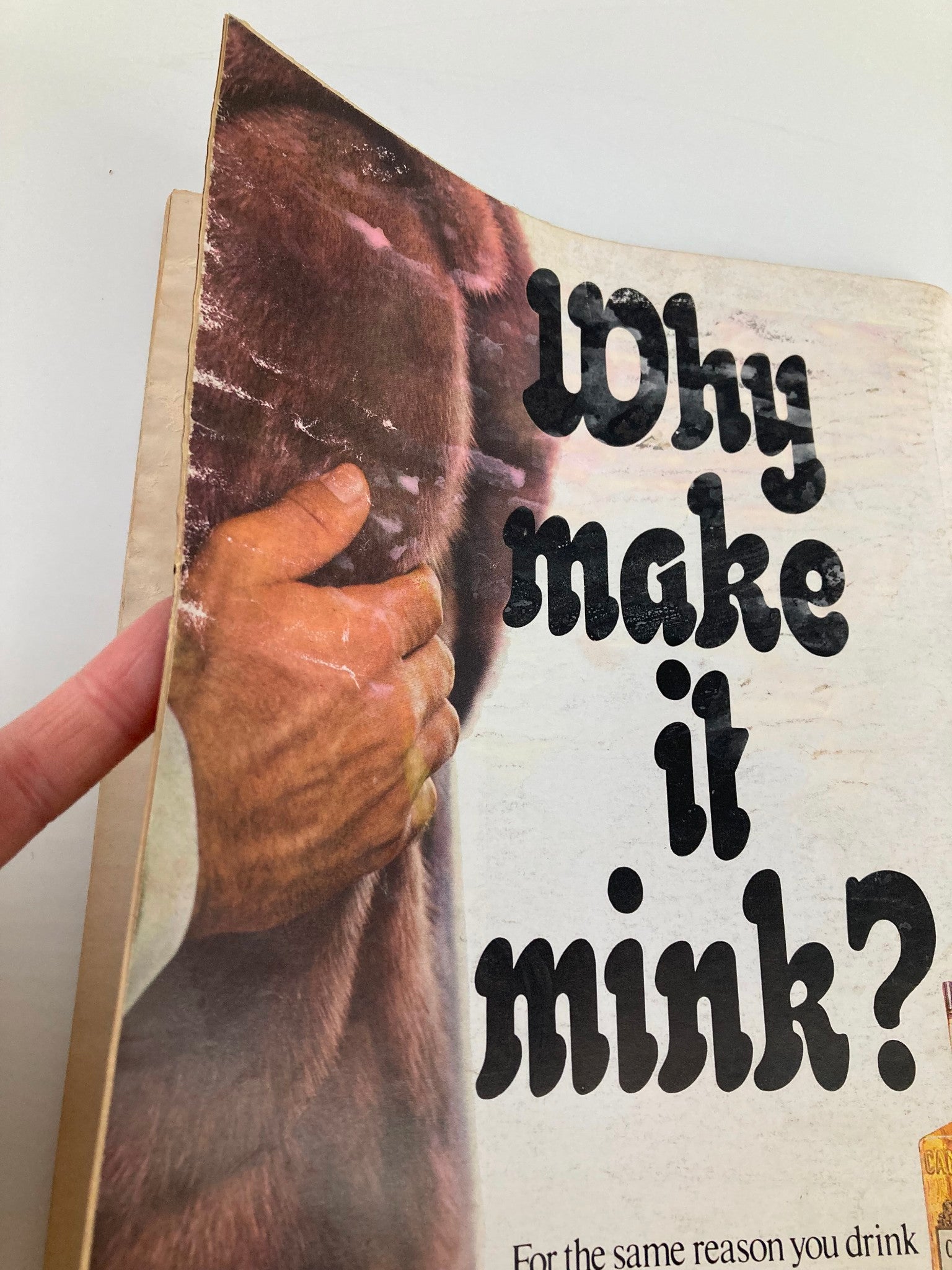 Cover detail of VTG Newsweek Magazine March 27 1972 showcasing text that reads 'Why make it mink?' with a hand gently holding mink fur, highlighting the magazine's vintage allure.