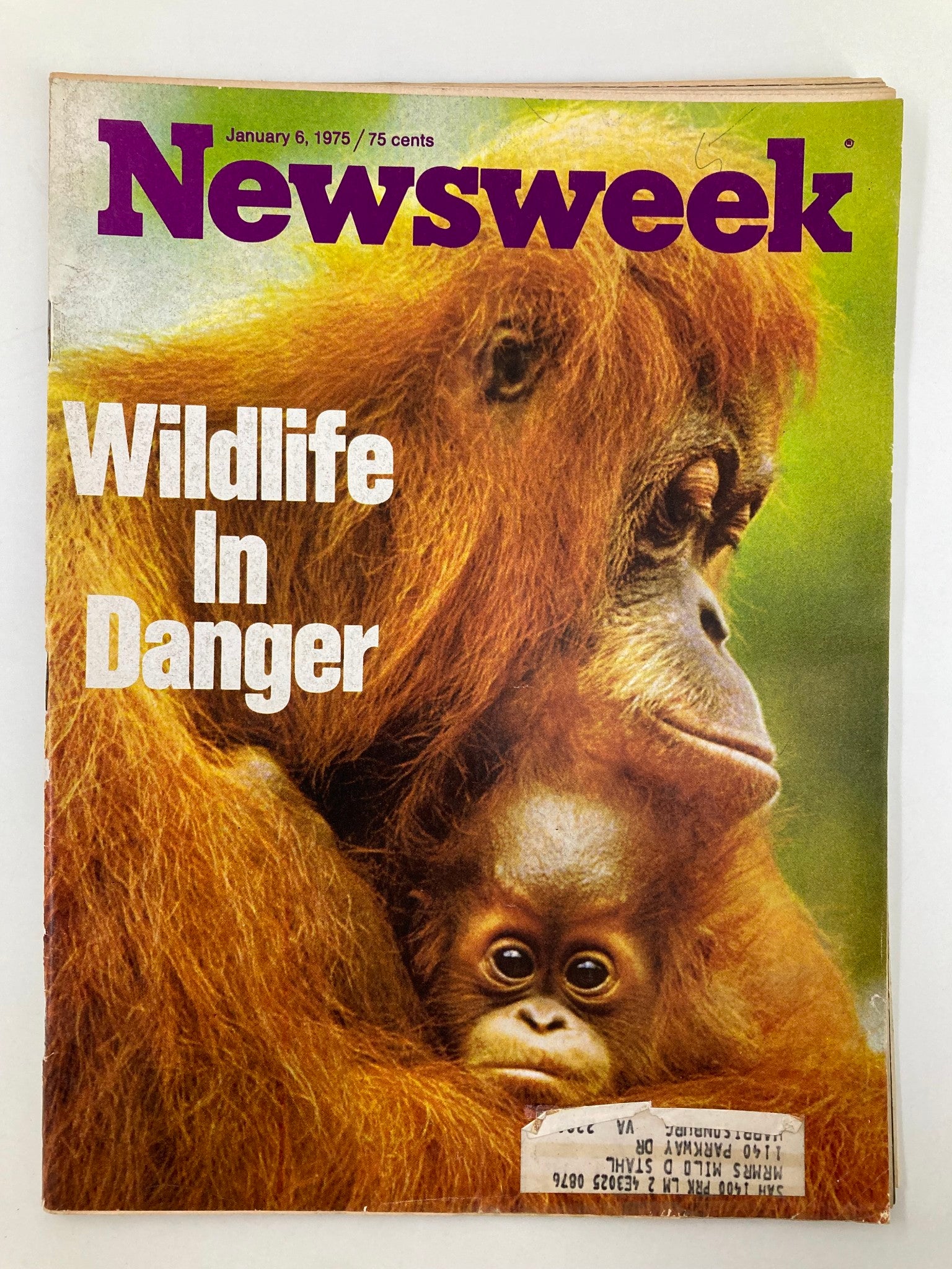 Cover of VTG Newsweek Magazine dated January 6, 1975, featuring orangutans and the headline 'Wildlife in Danger,' showcasing the importance of wildlife conservation.
