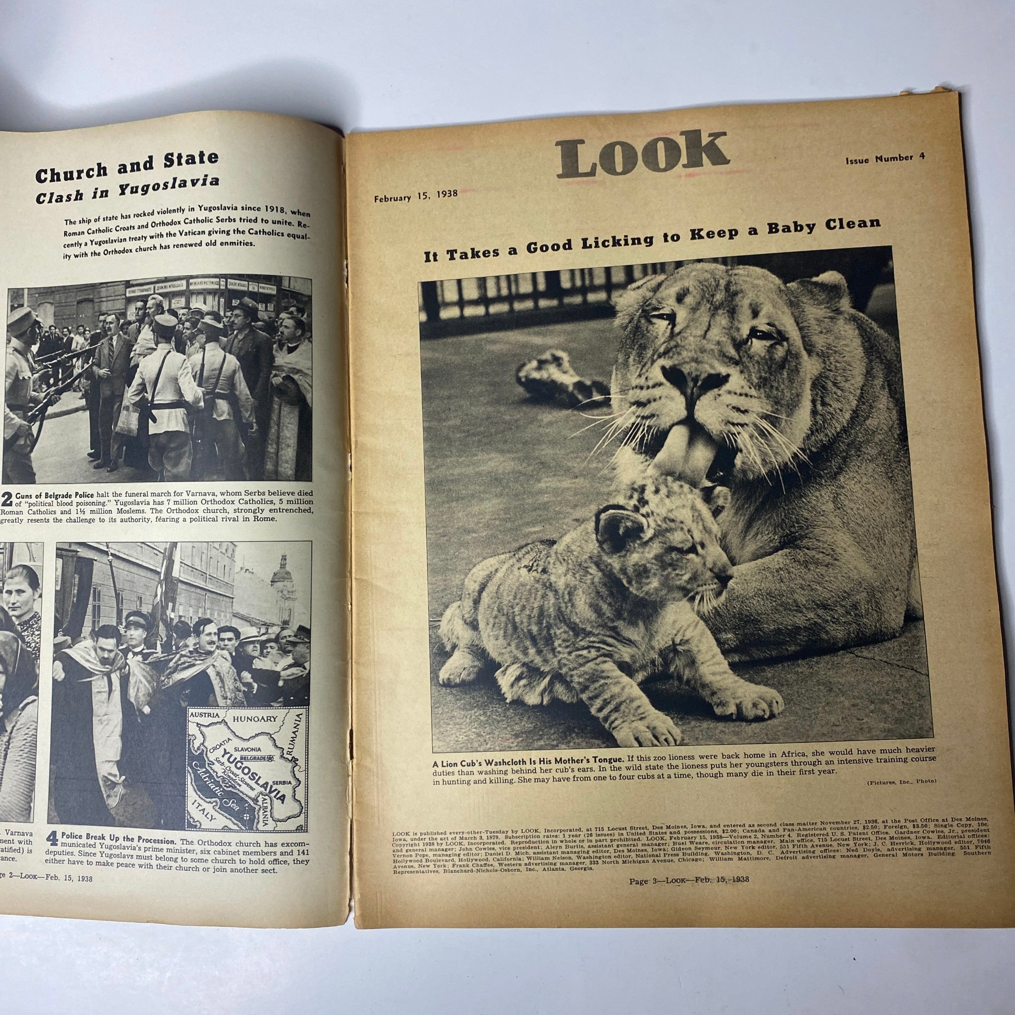 Inside page of Look Magazine February 15, 1938 featuring articles on the 'Church and State Clash in Yugoslavia' and an animal feature 'It Takes a Good Licking to Keep a Baby Clean'.