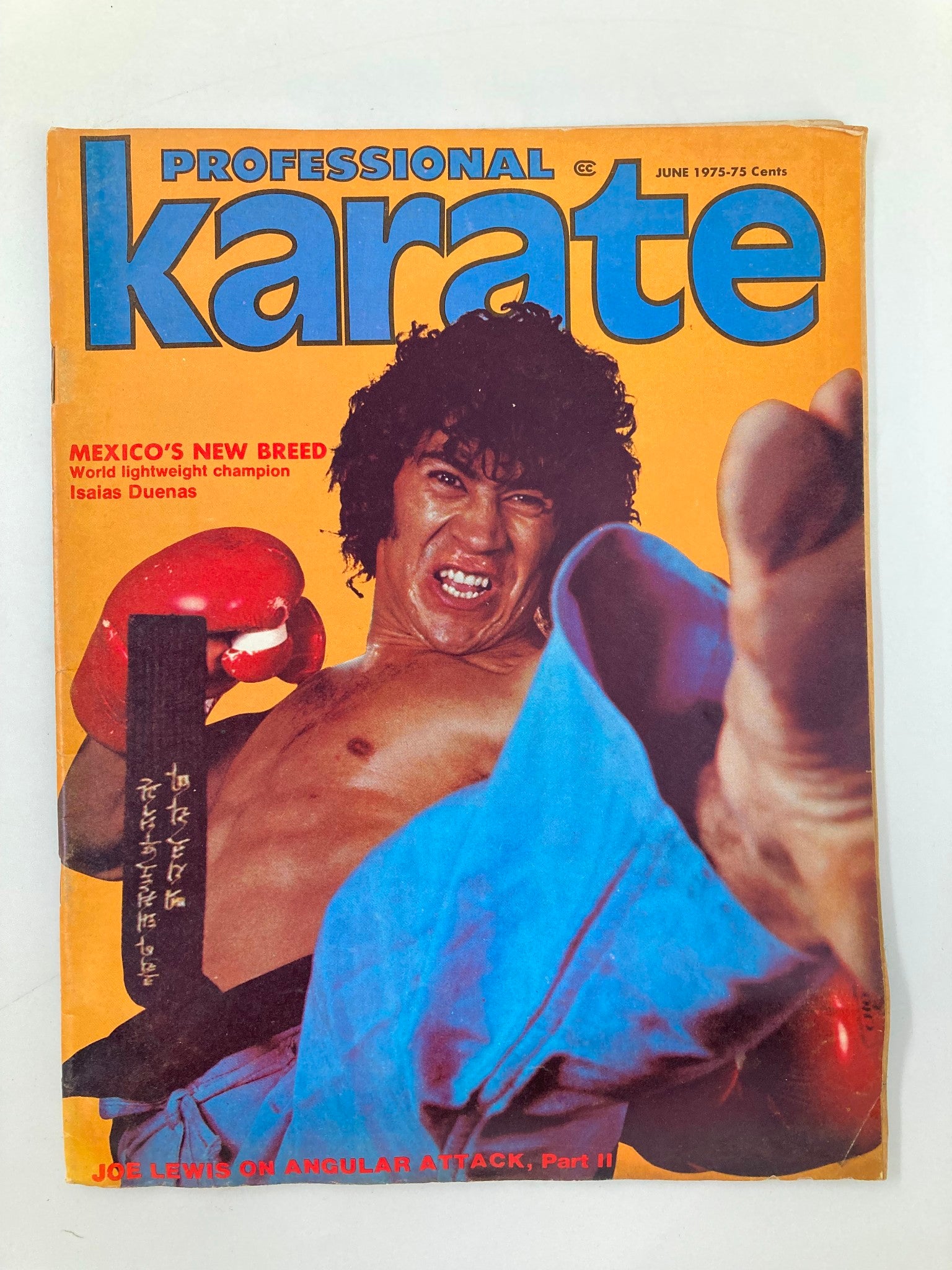 Cover of Professional Karate Magazine June 1975 featuring Mexico's Isaias Duenas, a world lightweight champion, showcasing martial arts with a vibrant design.