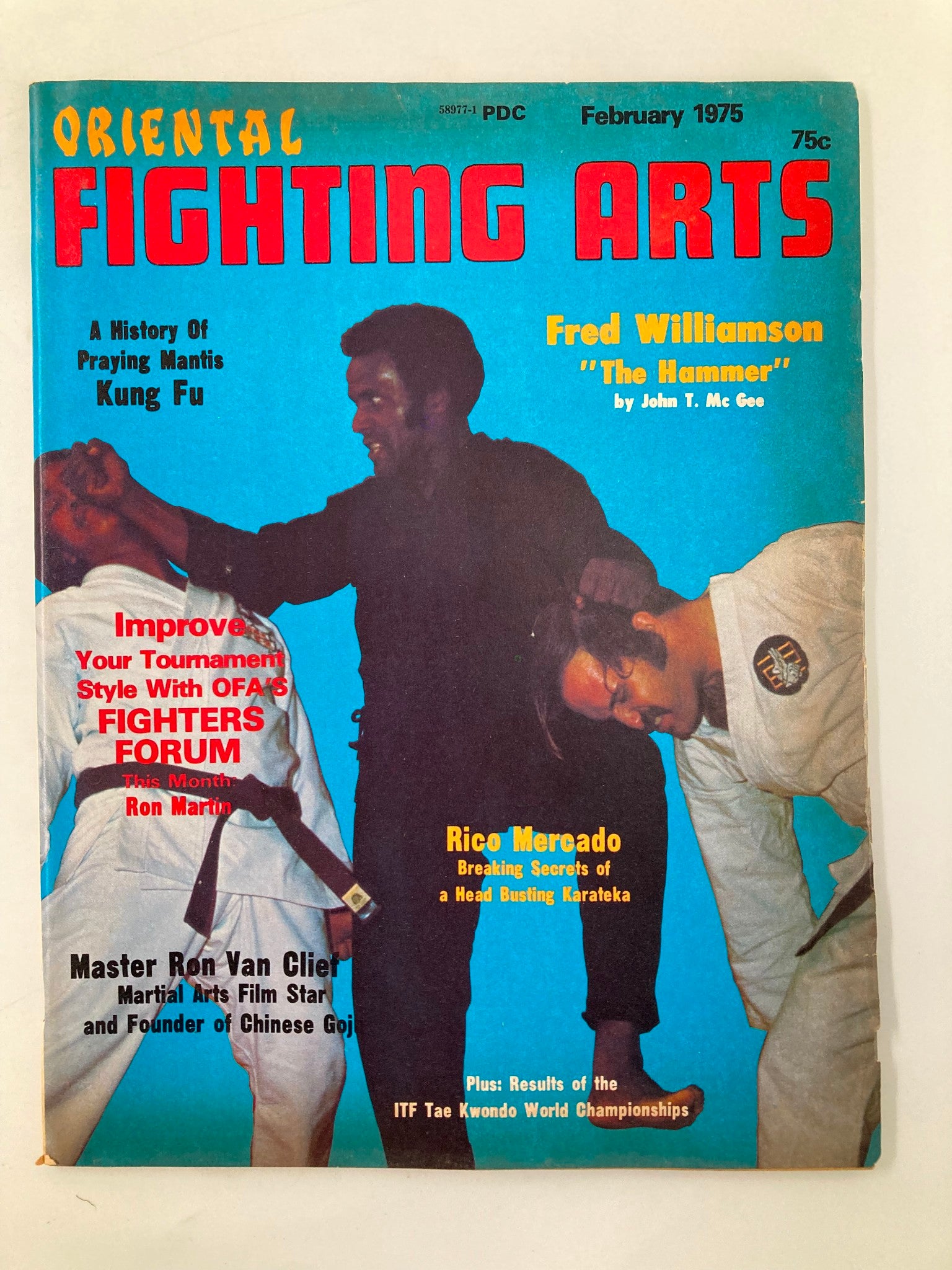 Cover of VTG Oriental Fighting Arts Magazine February 1975 featuring Fred Williamson, showcasing martial arts techniques and cultural highlights.