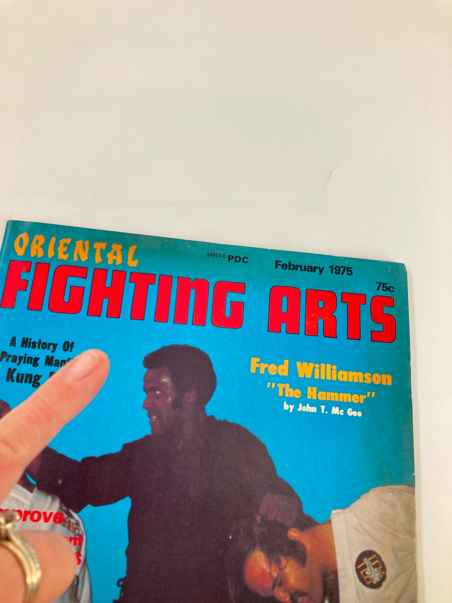 Close-up of the cover of VTG Oriental Fighting Arts Magazine February 1975 with Fred Williamson and a demonstration of martial arts techniques.