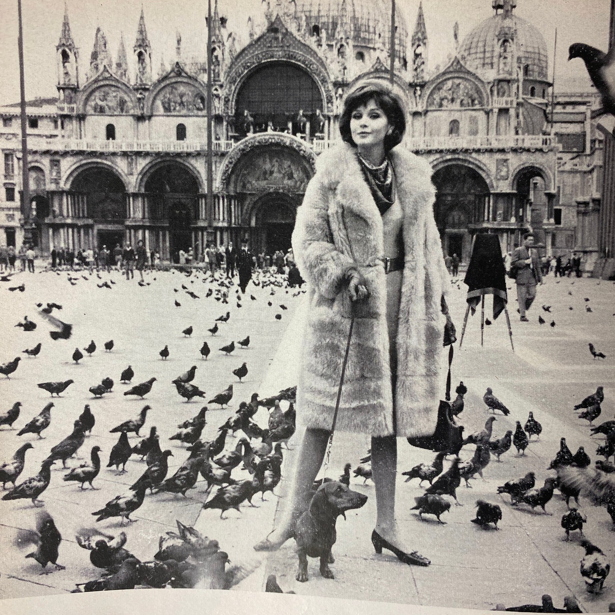 A stylish black and white image from Glamour Magazine September 1962, showcasing a model in a luxurious fur coat in a piazza surrounded by pigeons.