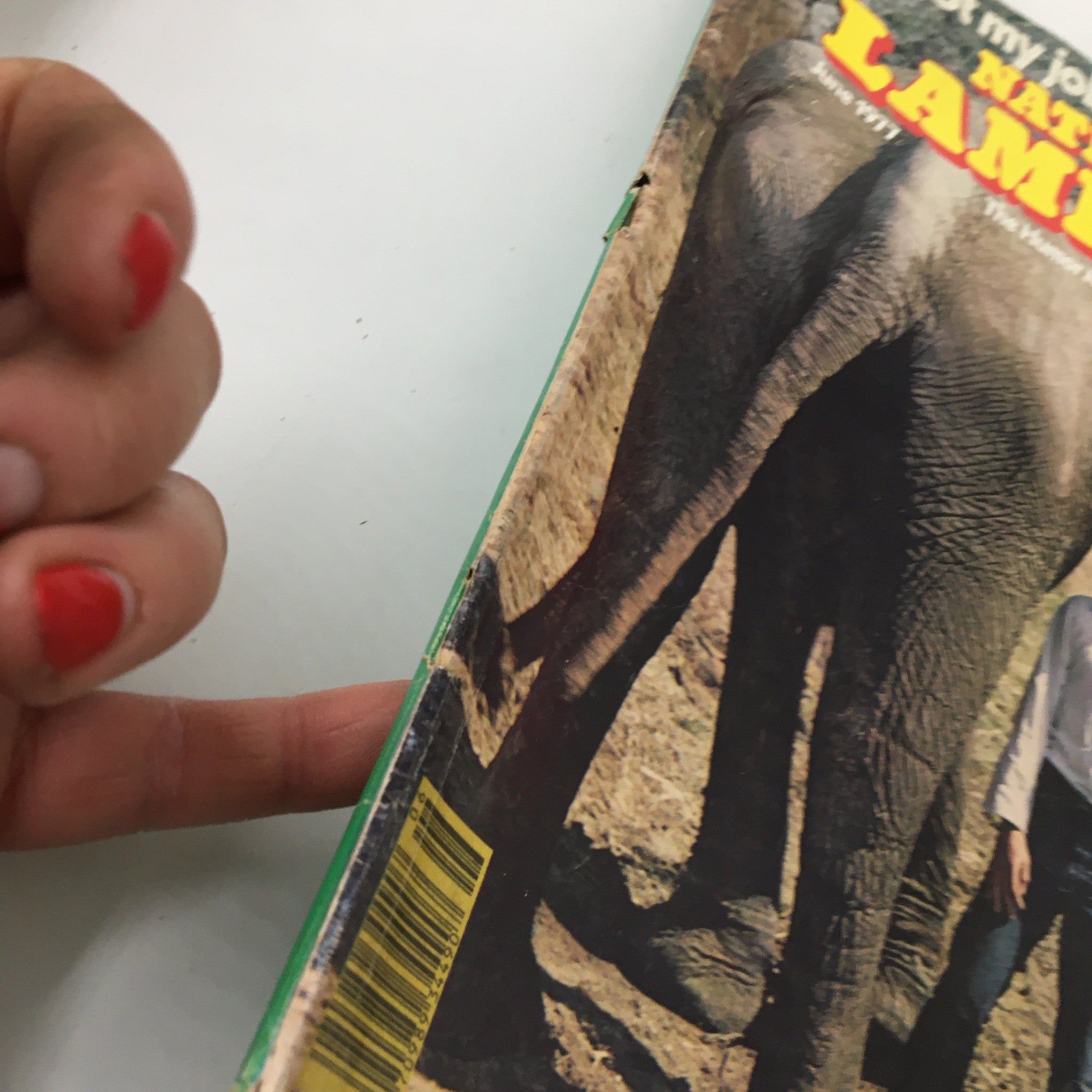 Side view of the Vintage National Lampoon Humor Magazine June 1977 showcasing the cover with an elephant and a man, highlighting the magazine's vintage charm.