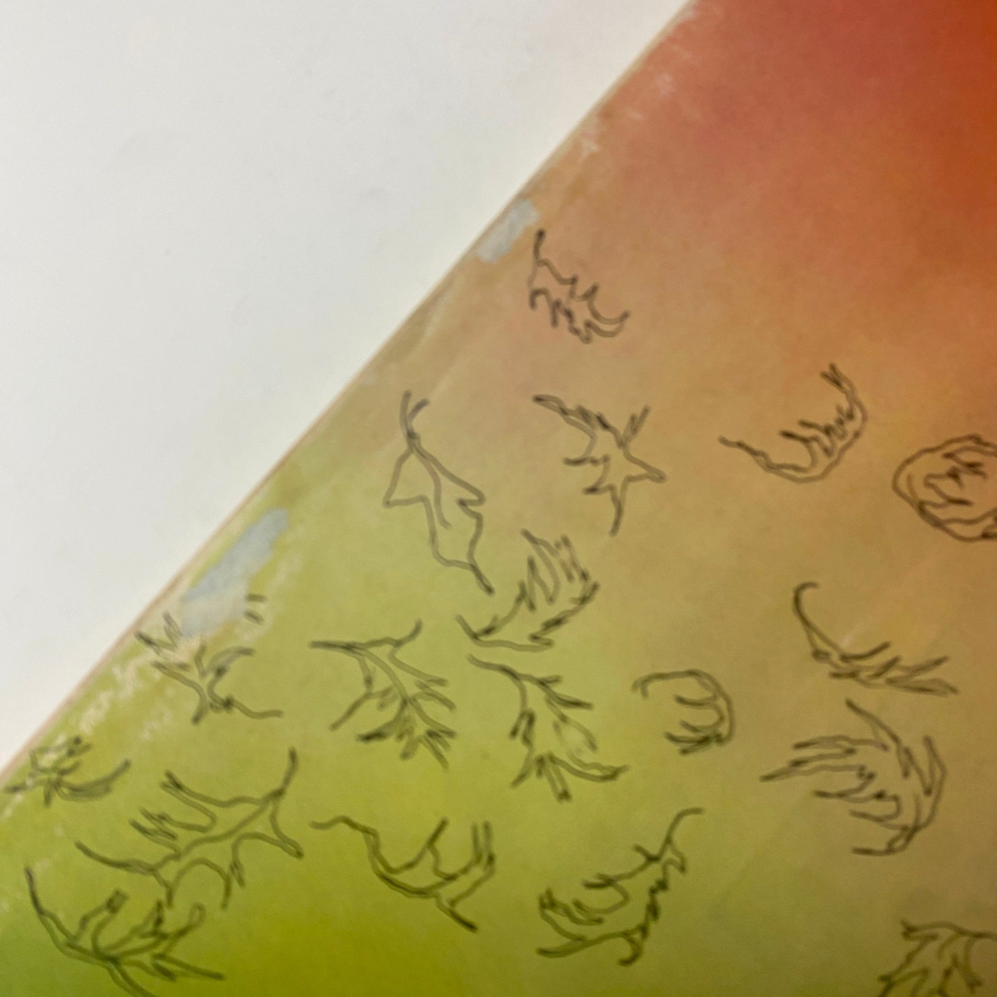 Close-up view of the back cover design of Playboy Magazine November 1955, featuring colorful gradient with illustrations, emphasizing the vintage aesthetic.