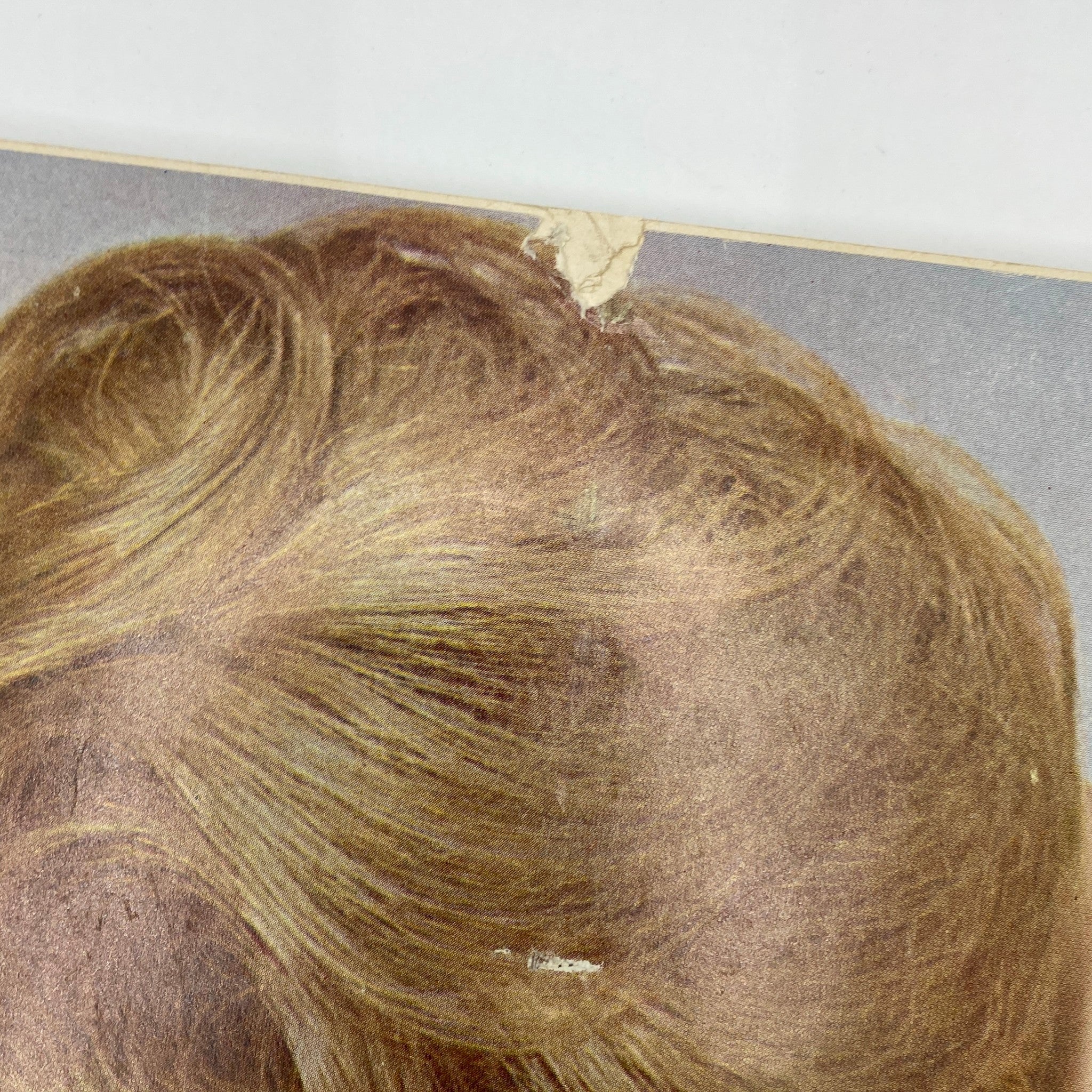 Close-up of hair in Vintage Vogue Magazine October 1 1962, illustrating classic hairstyle details from the early 1960s.