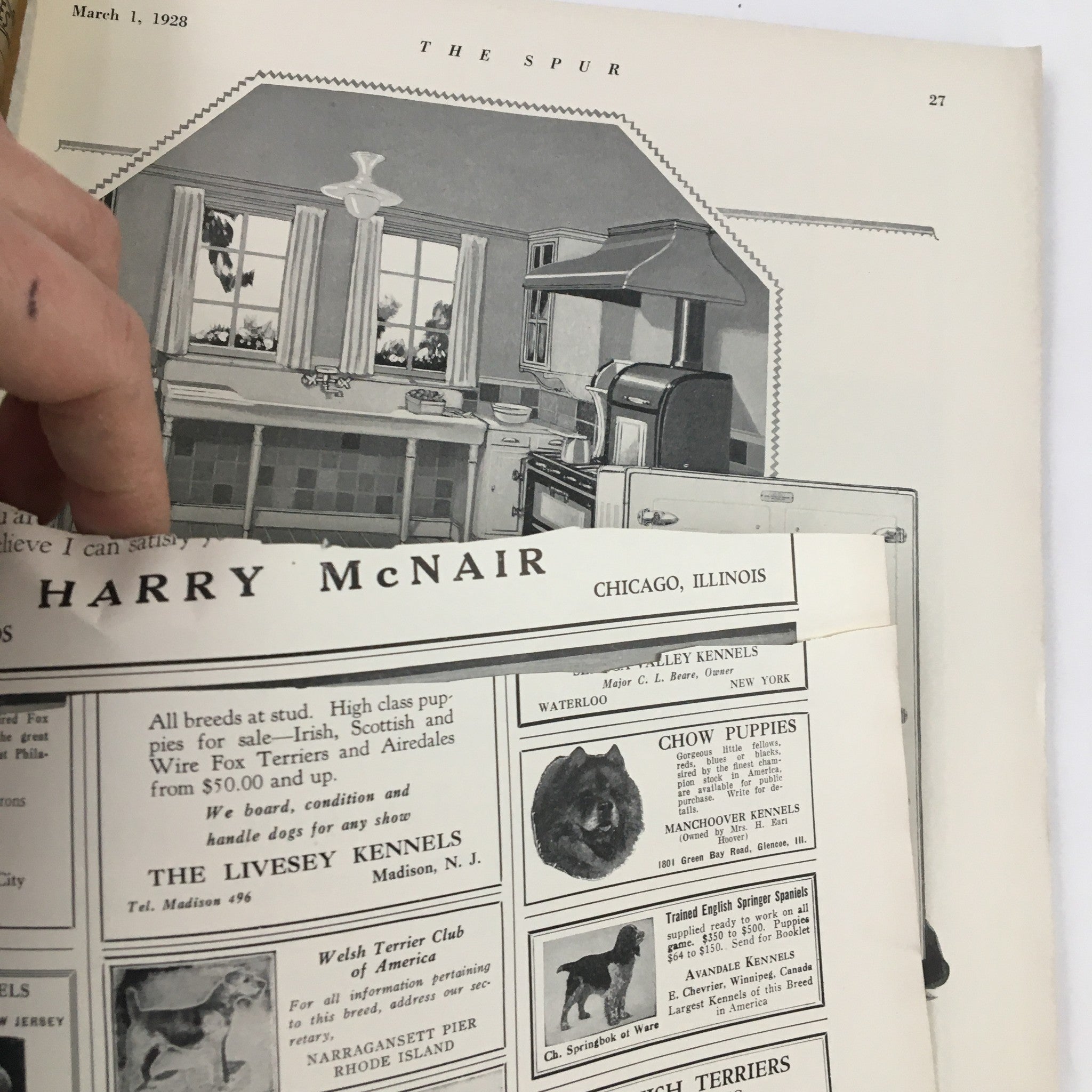 Interior page of VTG The Spur Magazine March 1 1928 showing an advertisement for a kennel, reflecting the hunting lifestyle and the magazine's content.