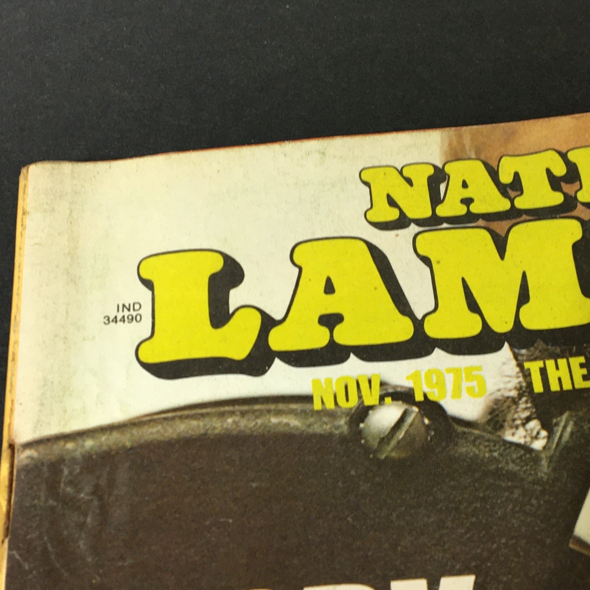 National Lampoon Magazine November 1975 – Albania, The Closet Paradise – Newsstand Edition
