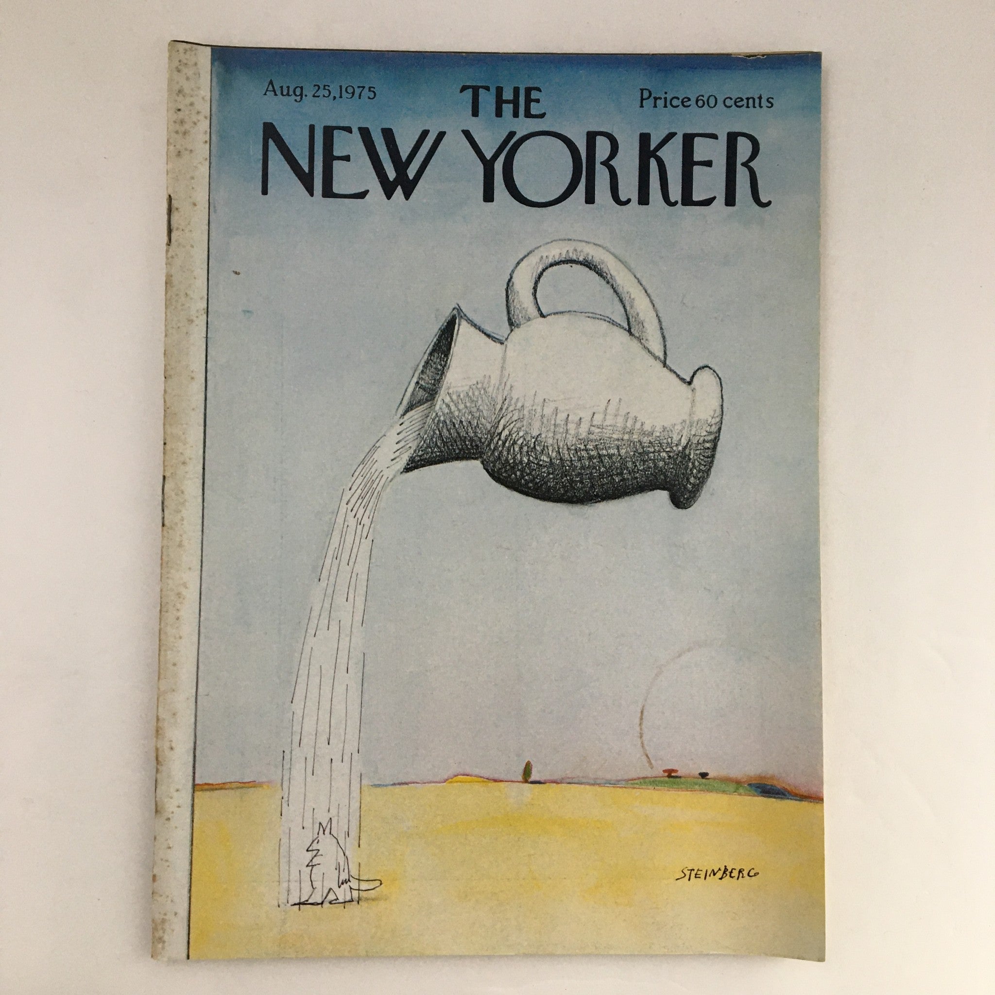 Cover of The New Yorker Magazine August 25 1975 featuring an imaginative illustration by Saul Steinberg, depicting a pitcher pouring water in a minimalist desert setting.