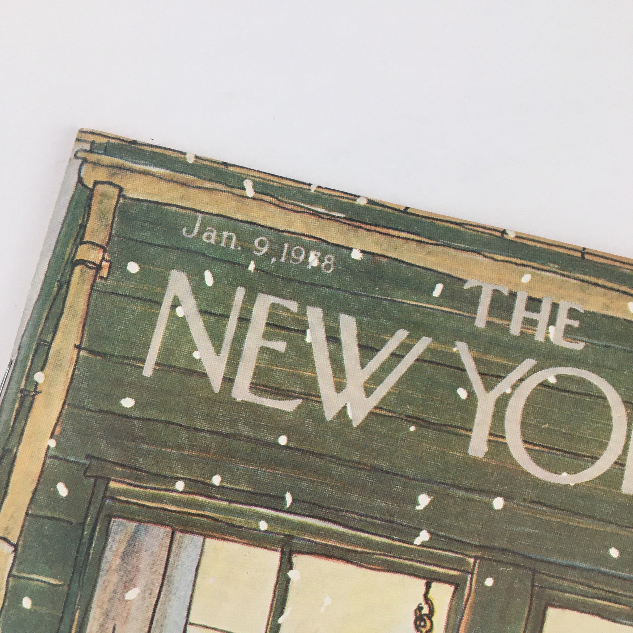 Cover of The New Yorker Magazine January 9 1978 featuring a charming artwork of a parrot on a cage by George Booth, showcasing the magazine's distinctive style and historical significance.